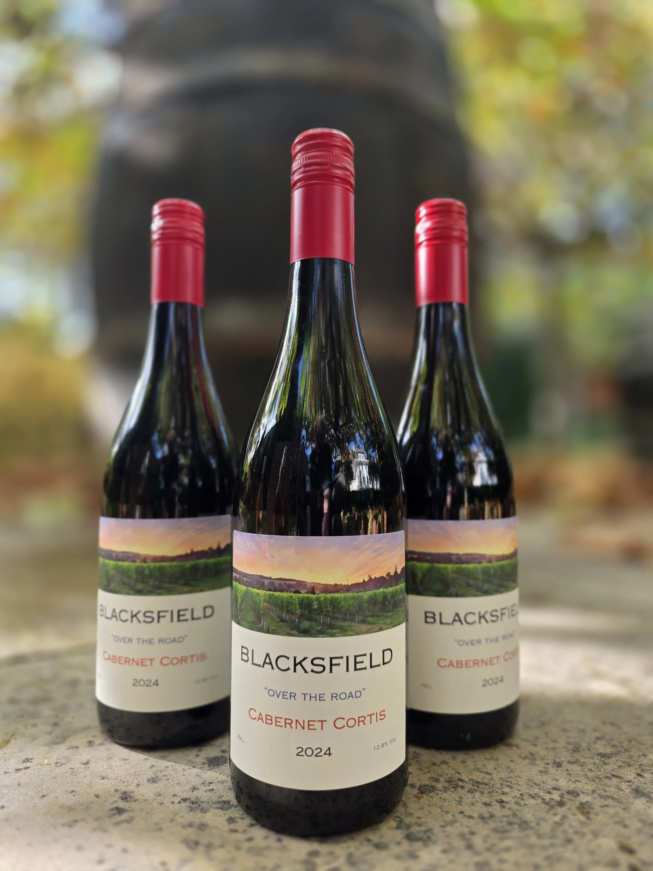2024 Cabernet Cortis