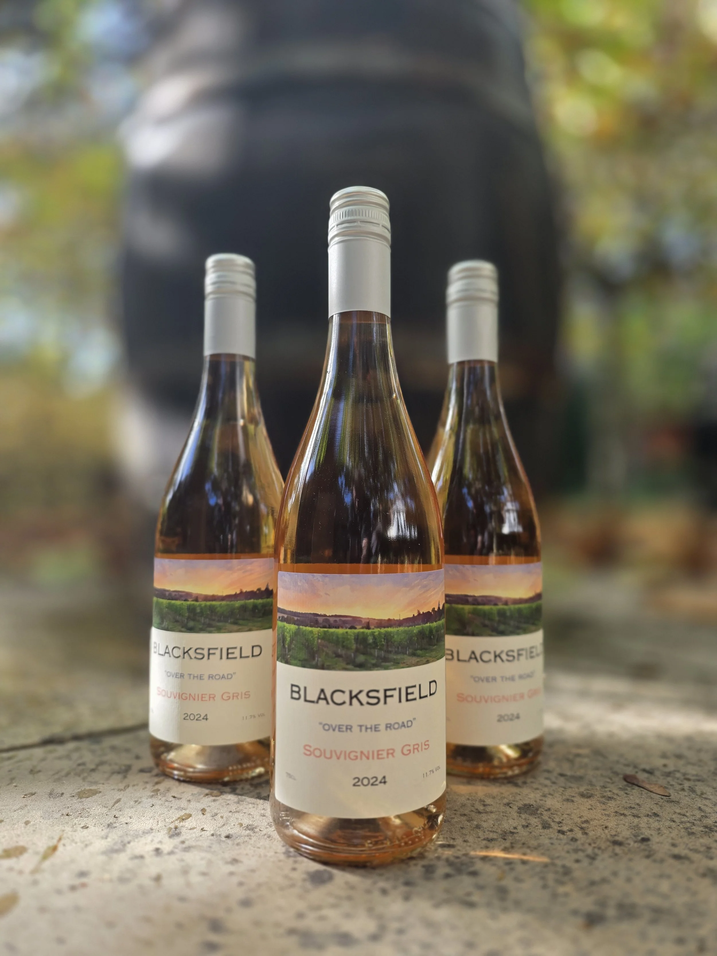 2024 Souvignier Gris