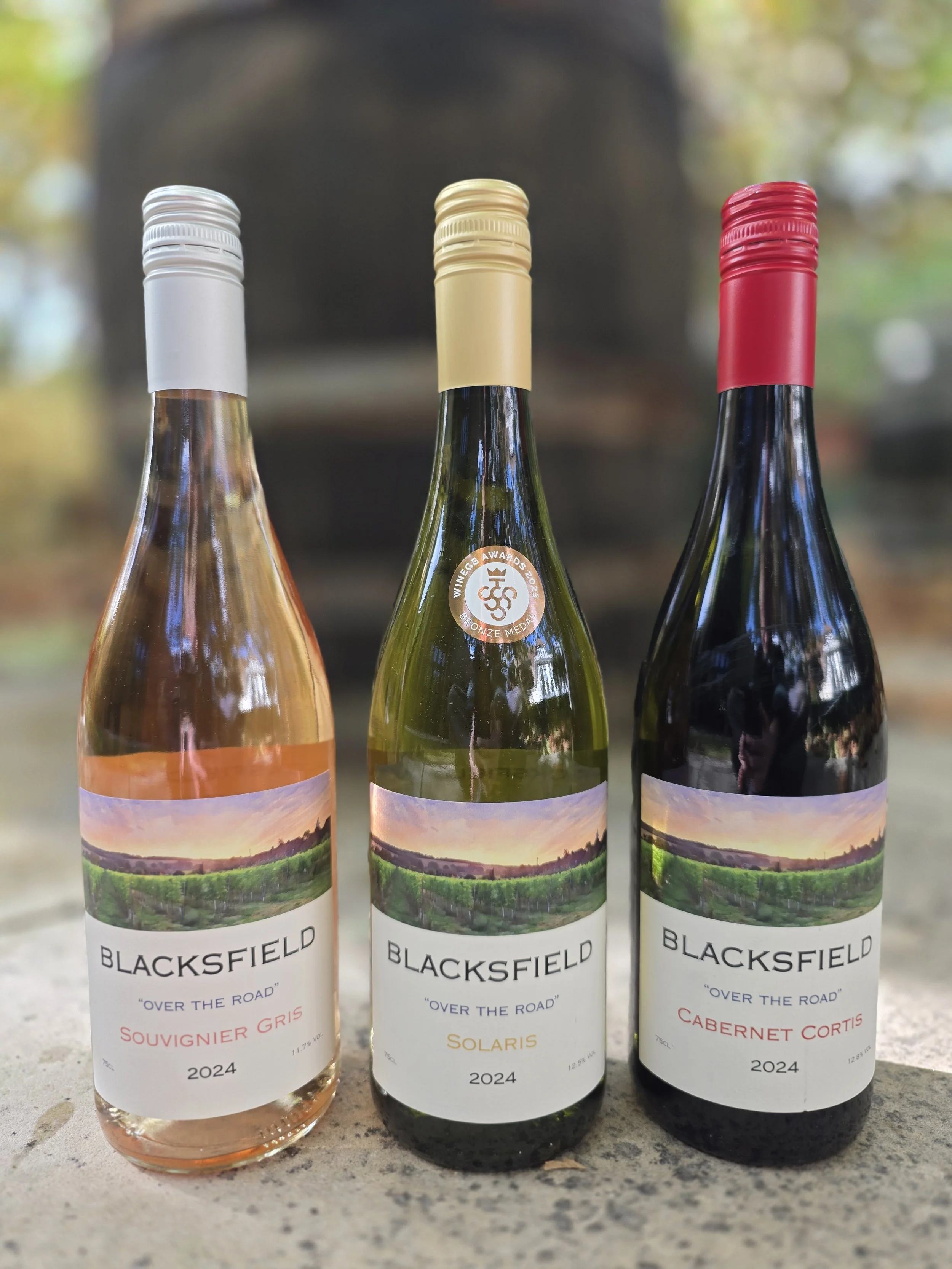 Our 2024 Vintage, all award winning: rosé, white wine, and red wines.