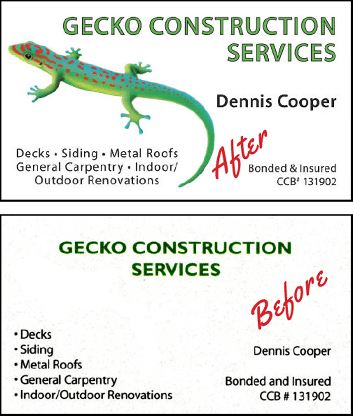 Gecko---B.png