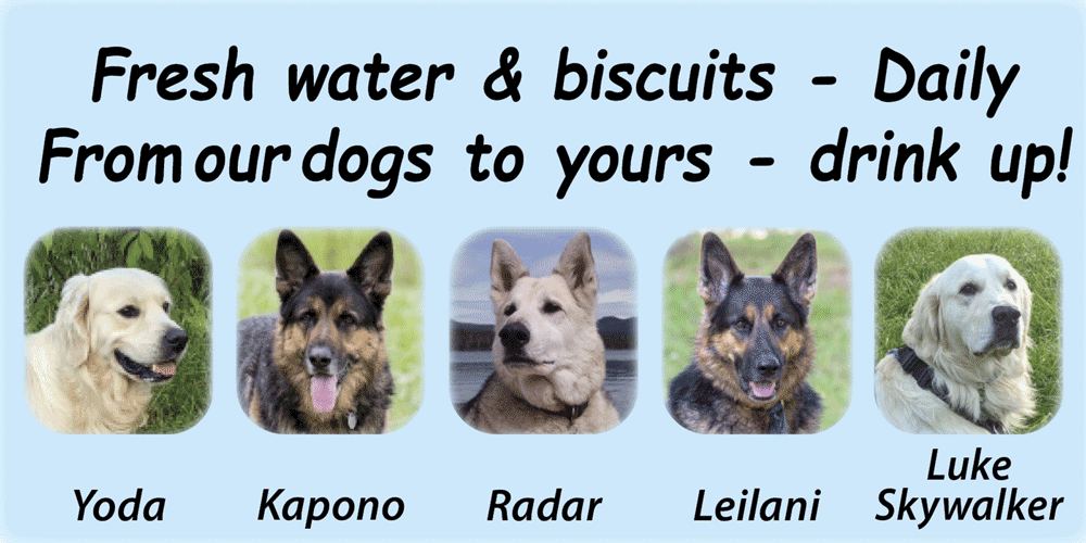 This is a picture of your dogs that offer your pets fresh clean water and Healthy biscuits - daily.