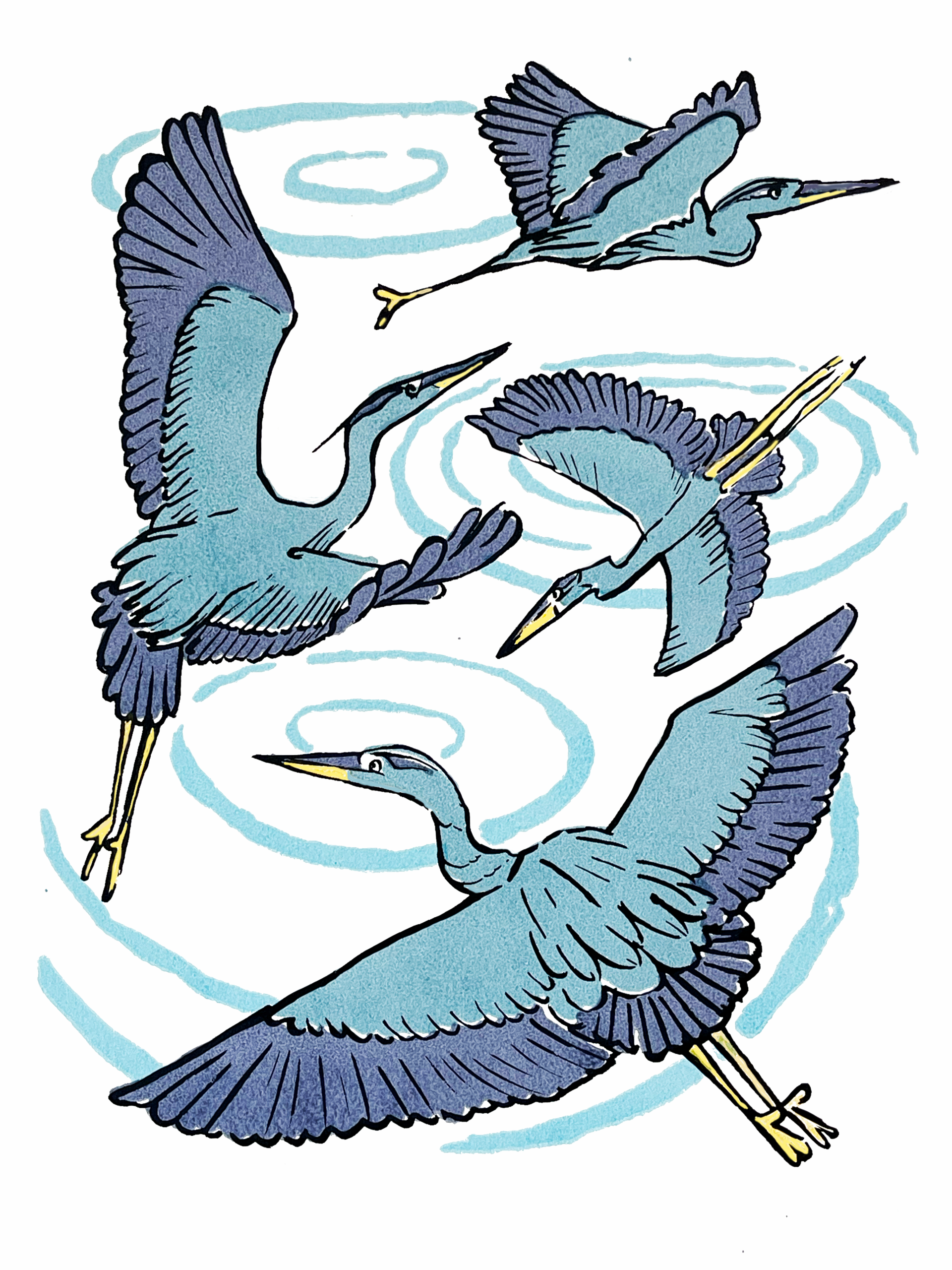 IMG_5775.PNG