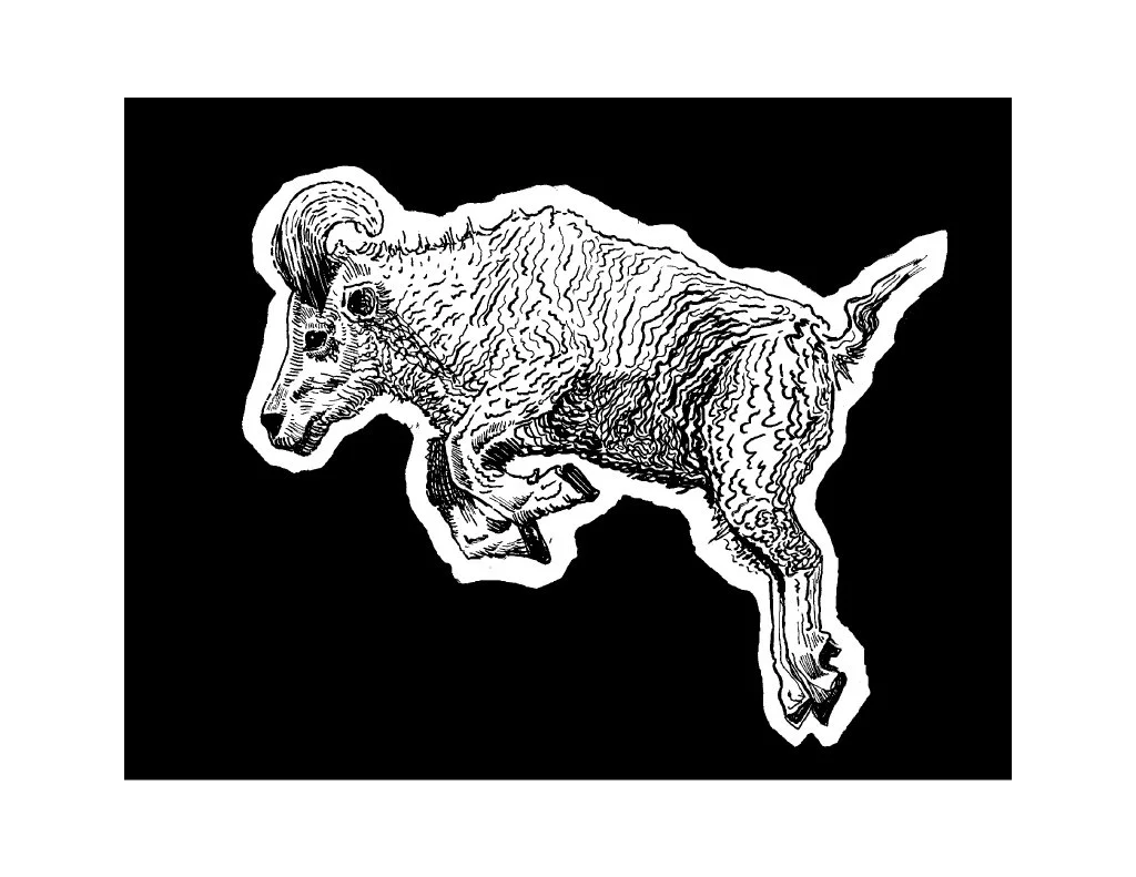 borderram.jpg