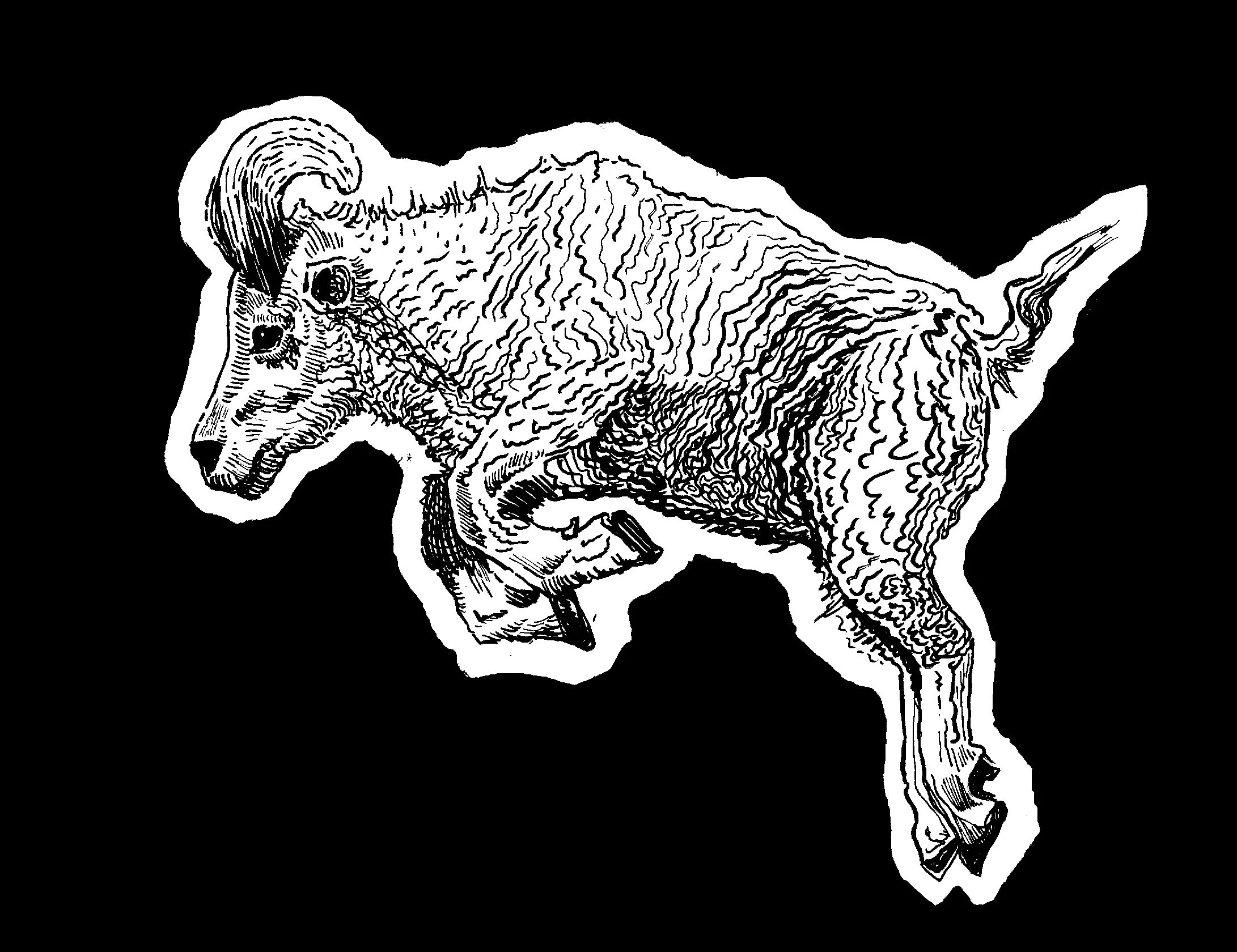 ram.jpg