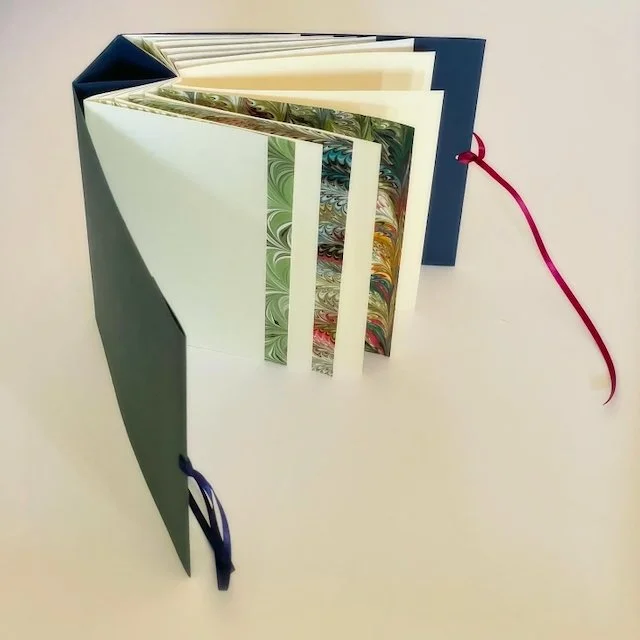 Spider Book - 2.jpeg