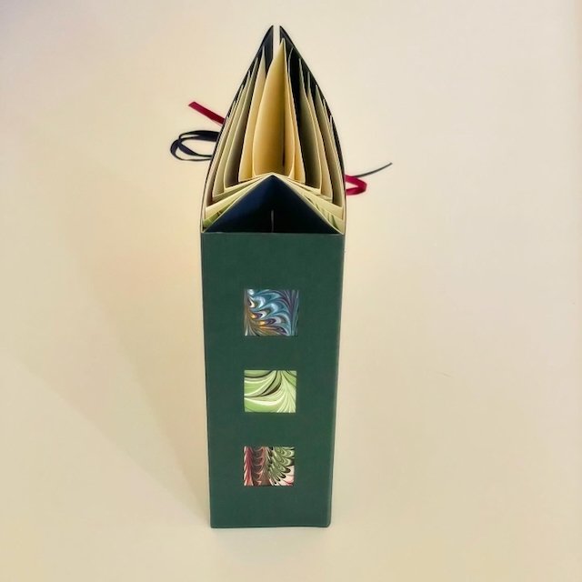 Spider Book - 3.jpeg