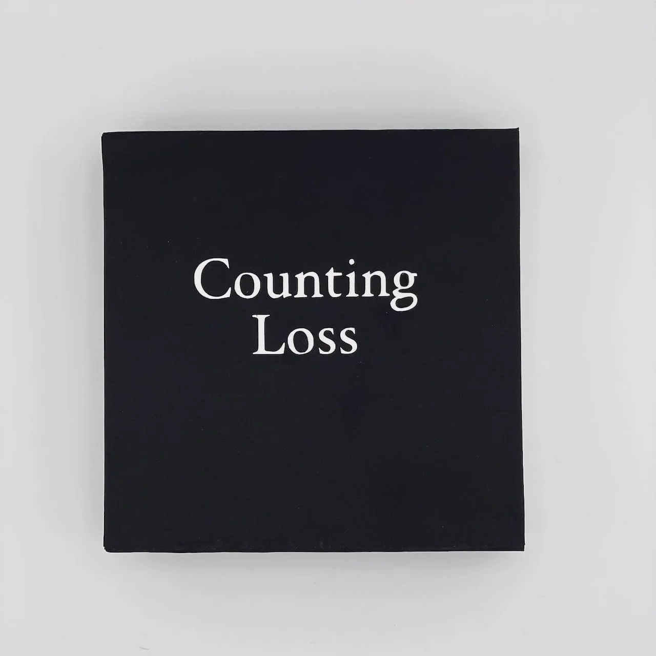 Counting Loss - 2024