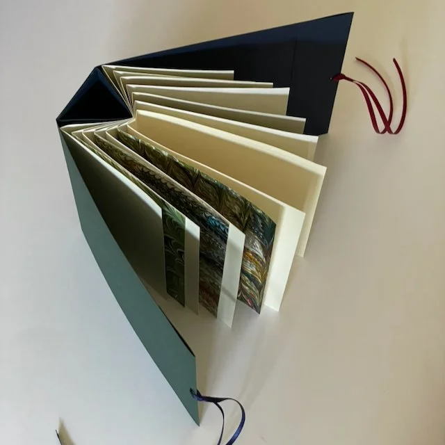Spider Book - 1.jpeg