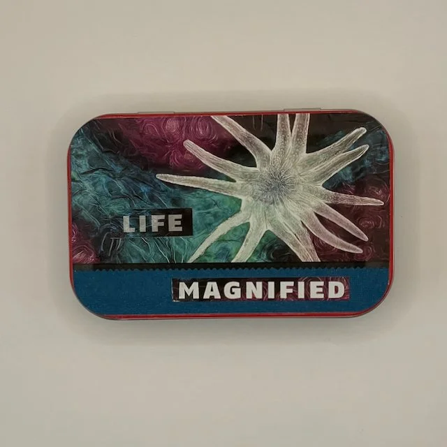 Life Magnified