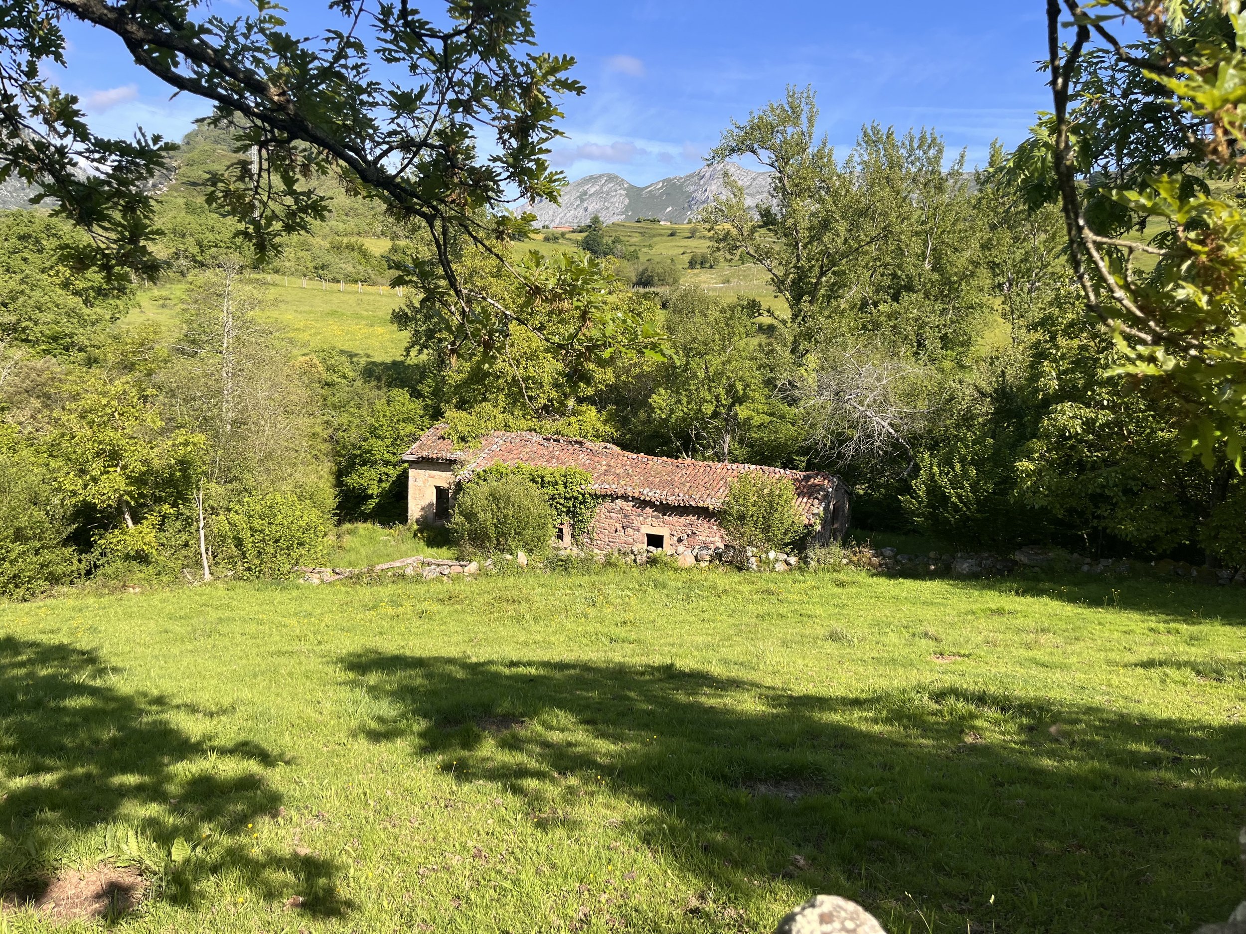 Why Old Barns Matter