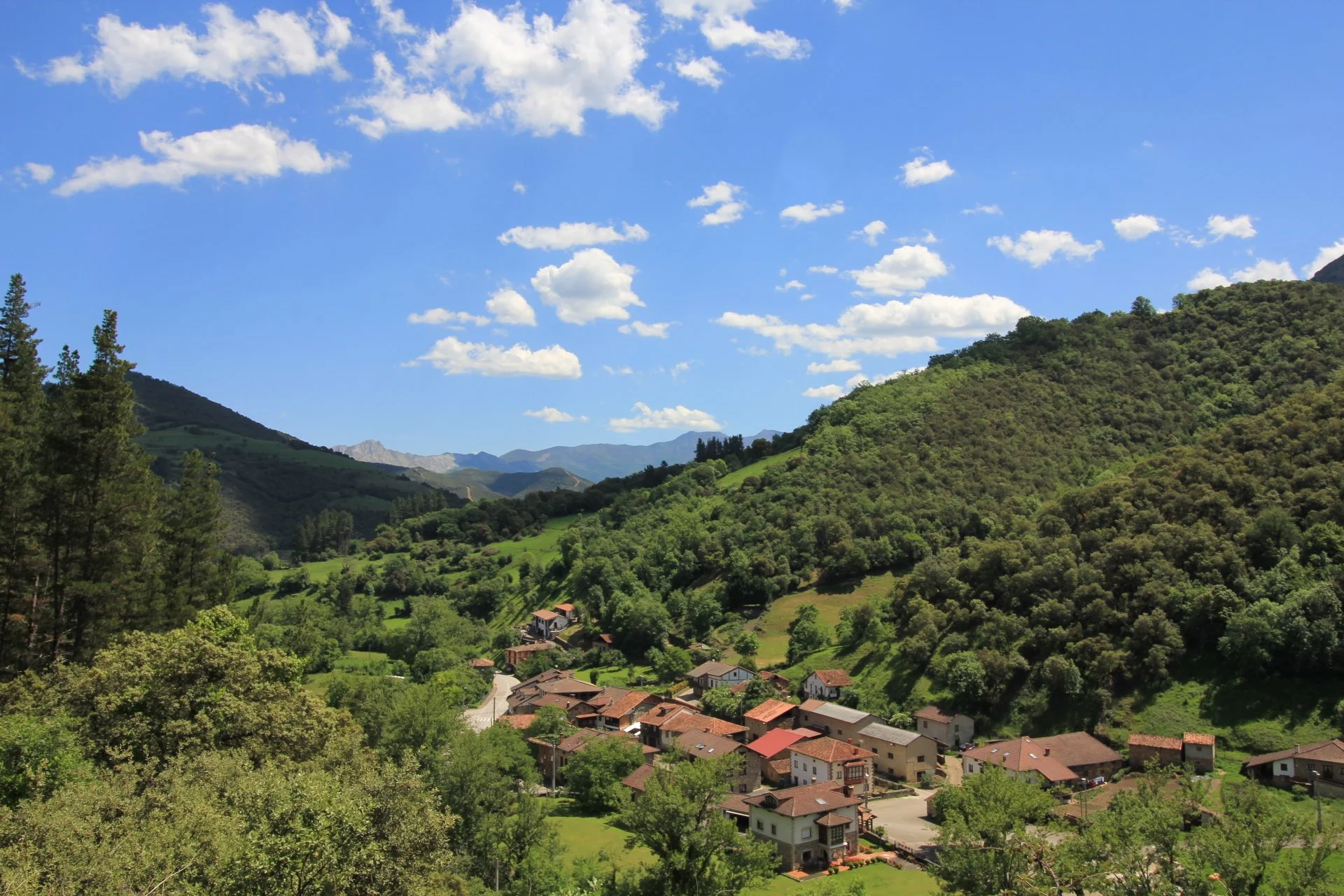 The Return of  Rural Landscapes