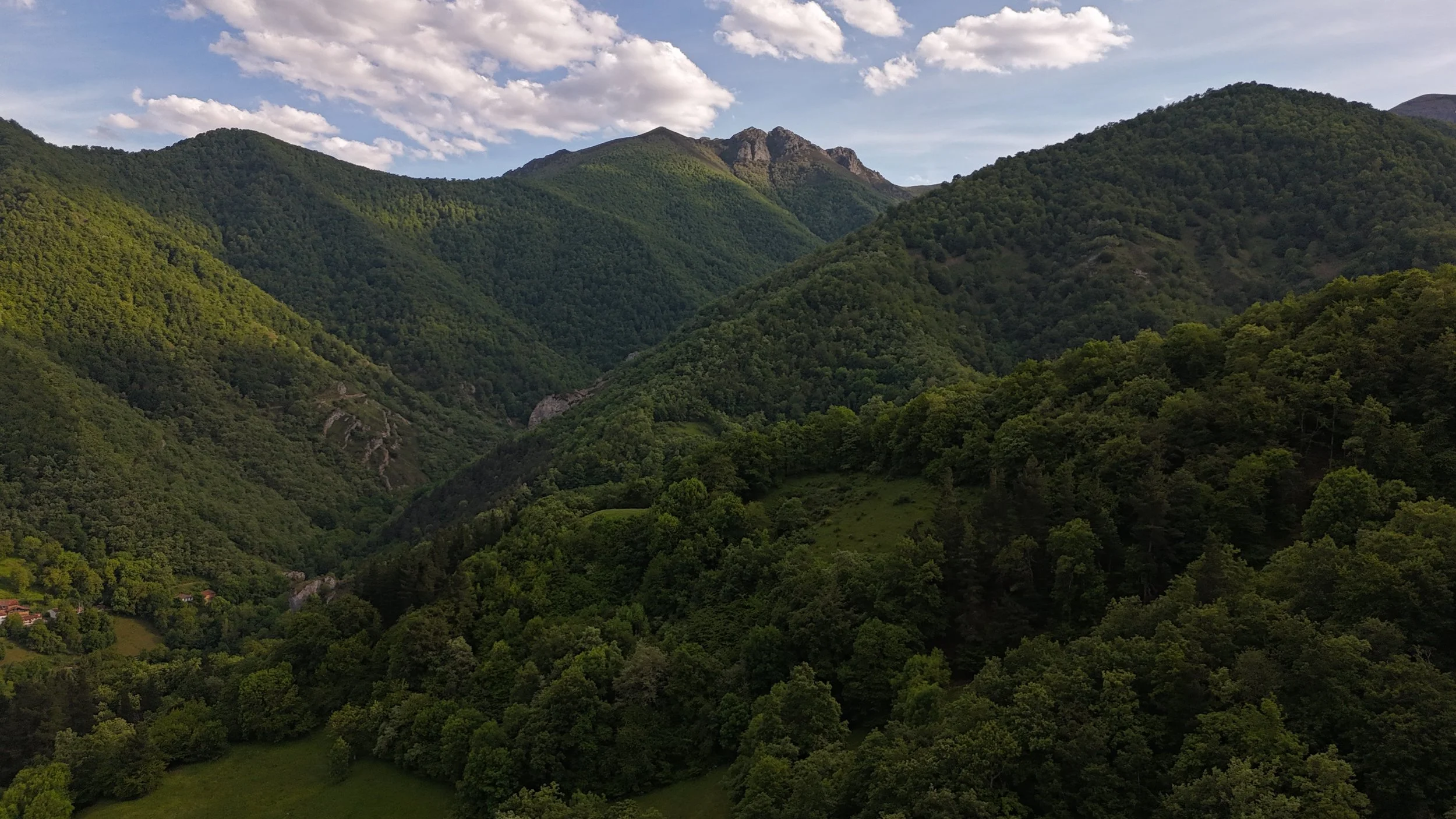 The Orchard and the Landscape
