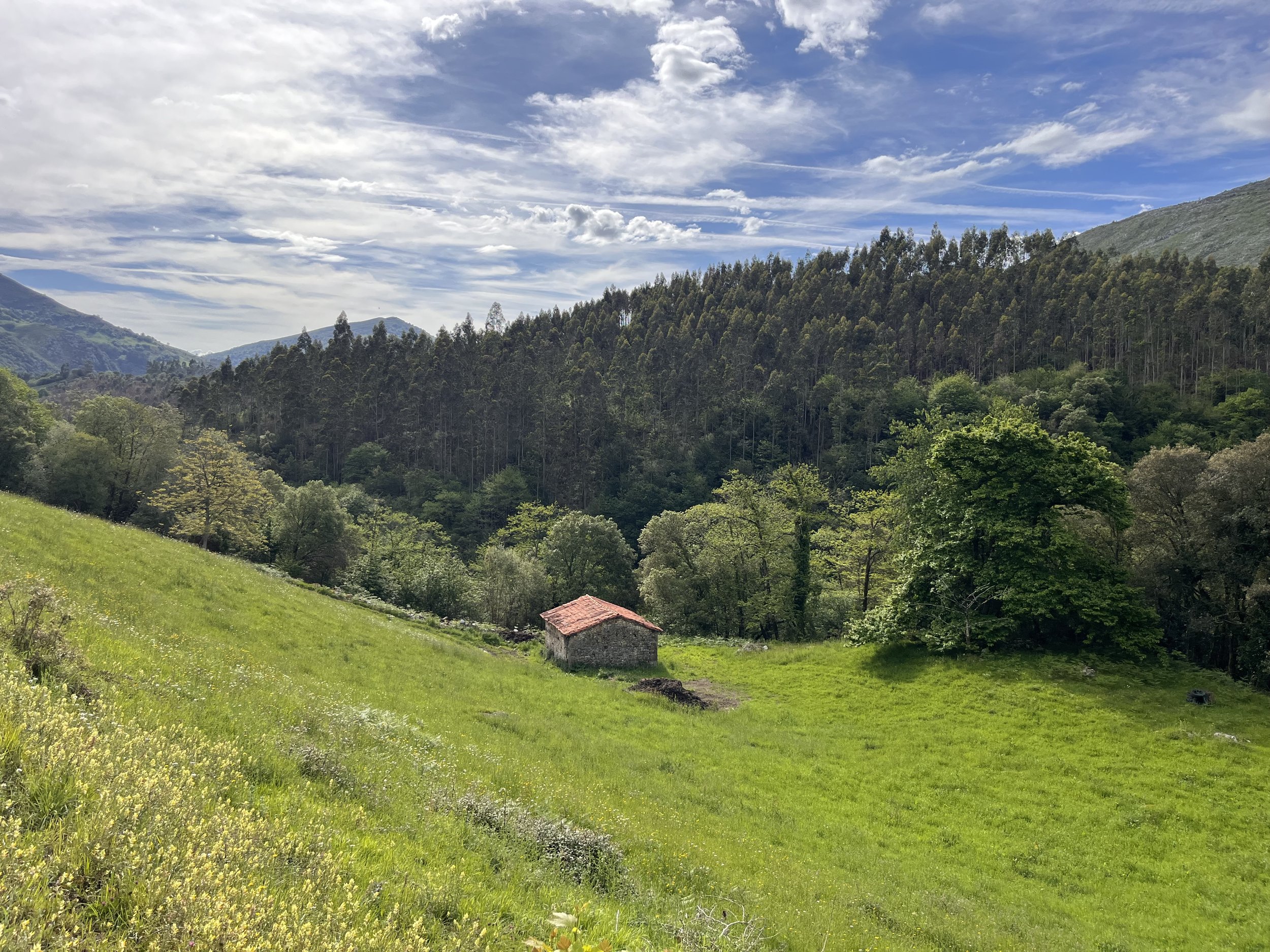 Green hillside with small stone house with red roof, surrounded by lush trees, under partly cloudy sky.