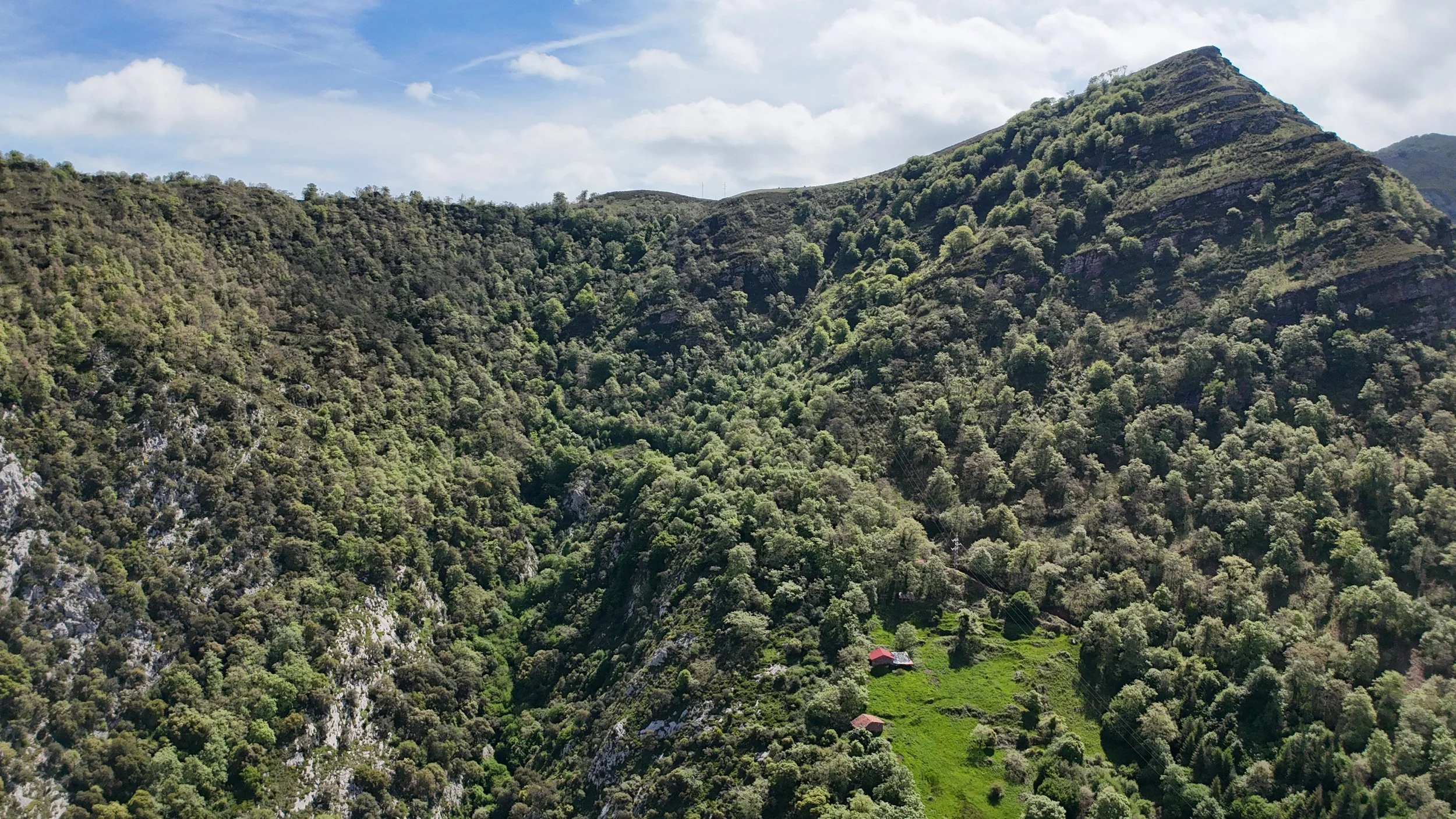 Aerial view of green, forested mountains with a few small buildings and clear skies.