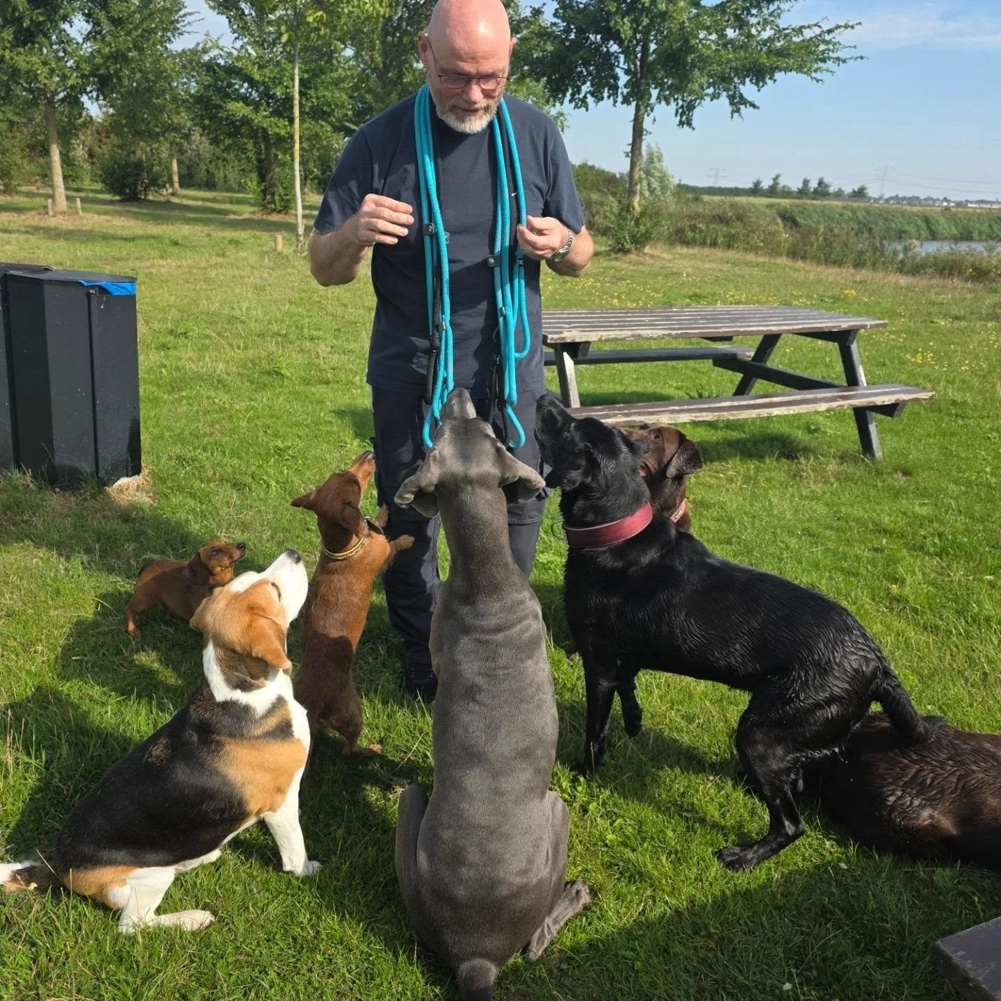 Robbierob ging gezellig een dagje mee met de uitlaatservice.
Hij kan zo een nieuwe carri&egrave;re beginnen: Rob de Dog Whisperer.😄

*In samenwerking met Britt's Boevenbende*

Wil jij nou ook graag dagelijks met honden bezig zijn en de volgende Dog 