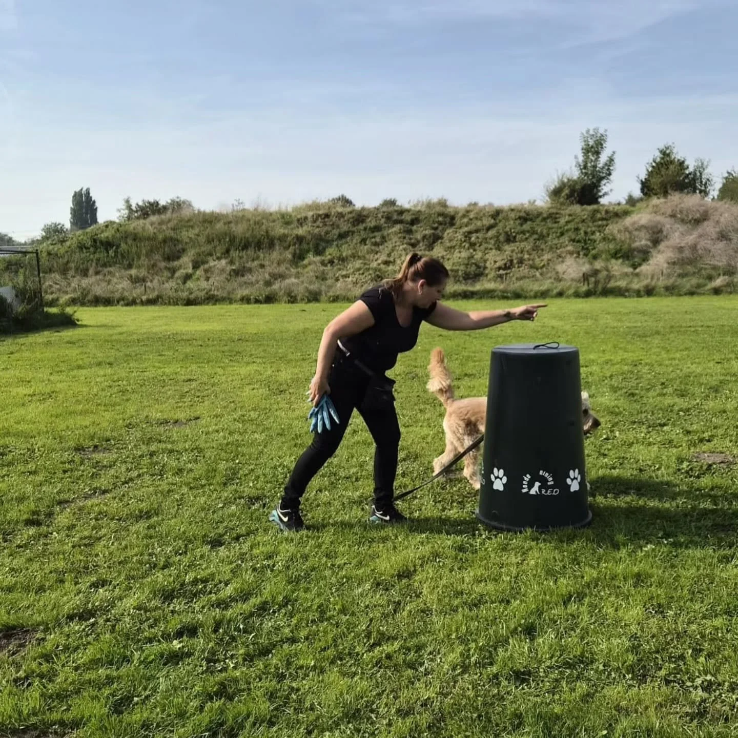 Vandaag de Hoopers gevorderden B workshop van Corrie Jansen bij Hondentraining REO gevolgd. 
Wat een heerlijke dag was het weer!