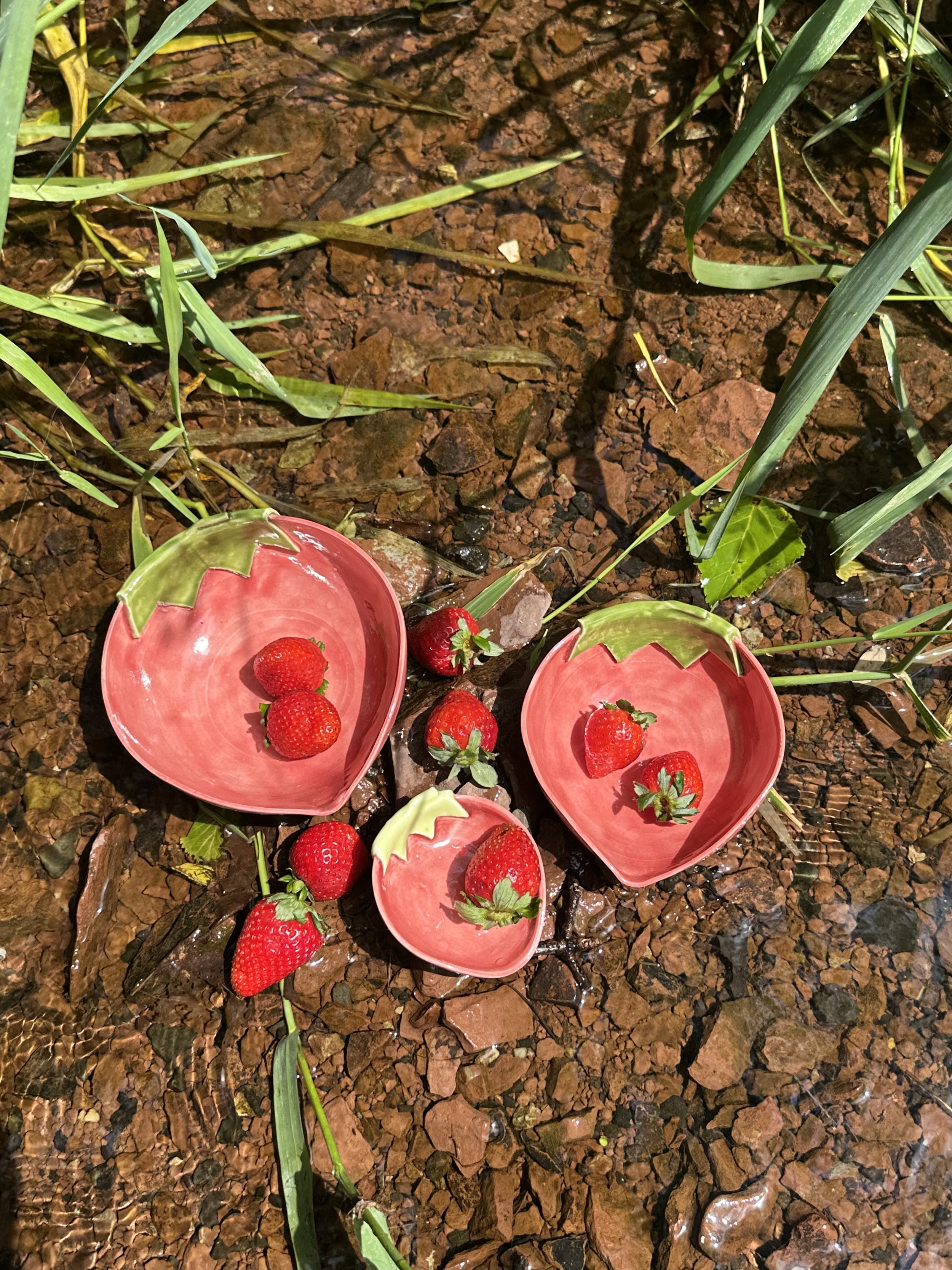Strawberry Bowl