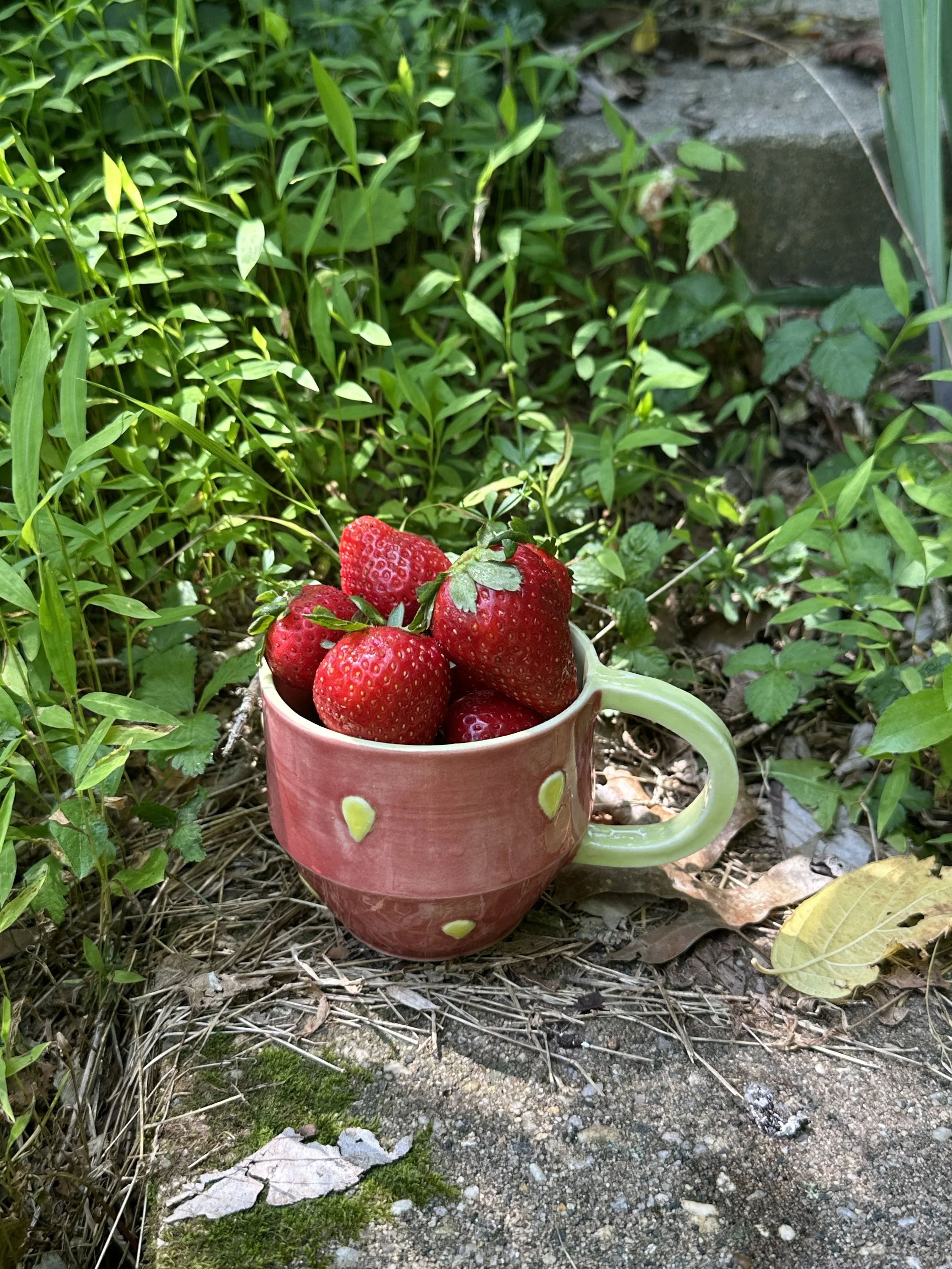 Seeds Mug