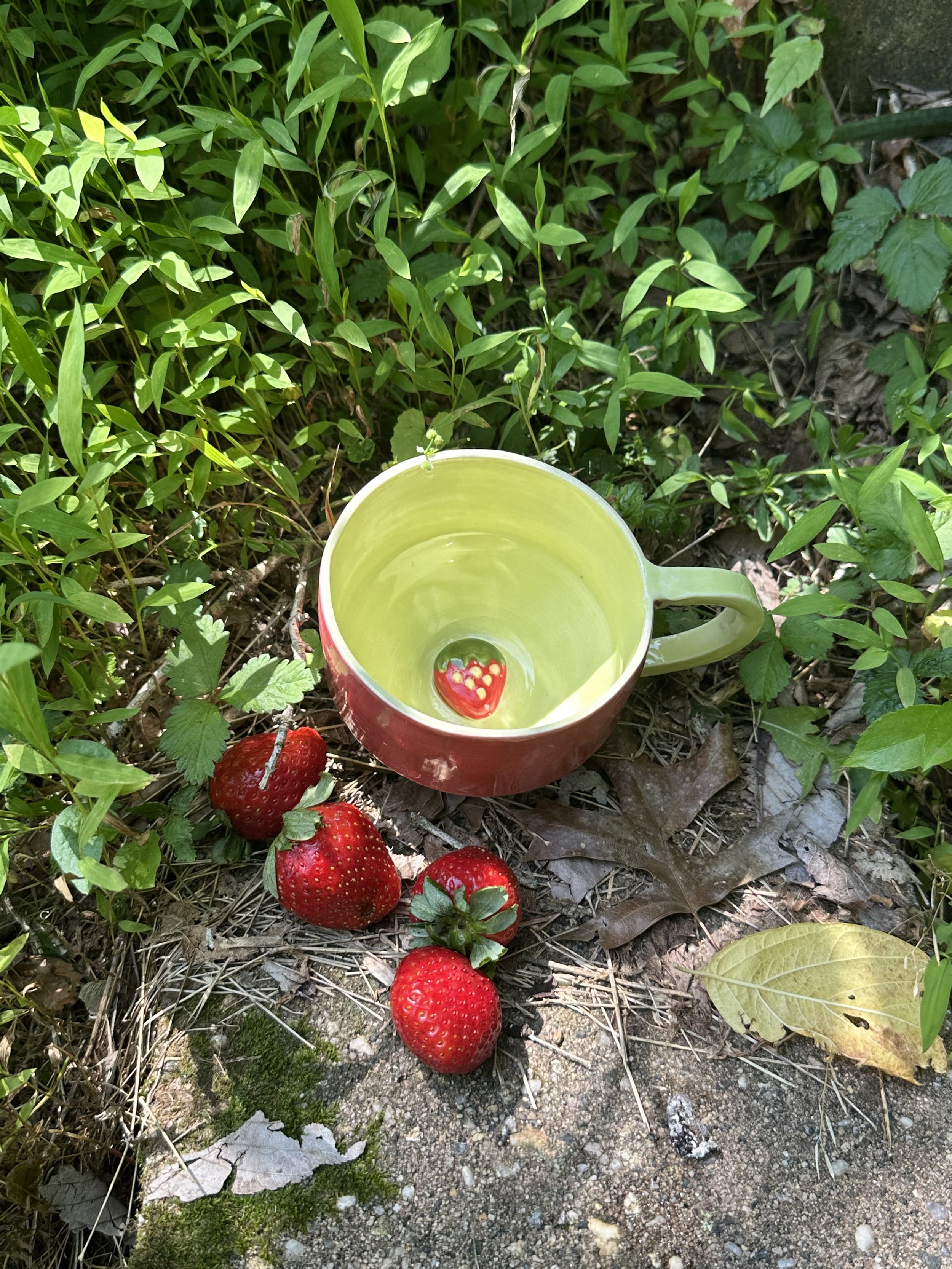 Hidden Strawberry Mug
