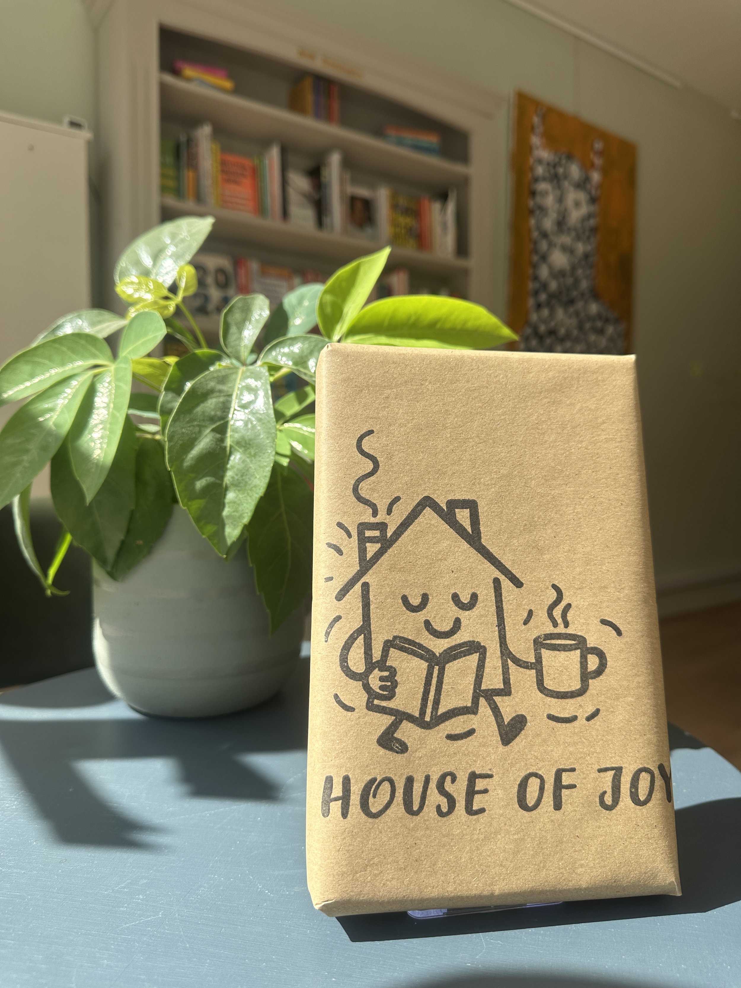 Blind Date with a Book - Fiction
