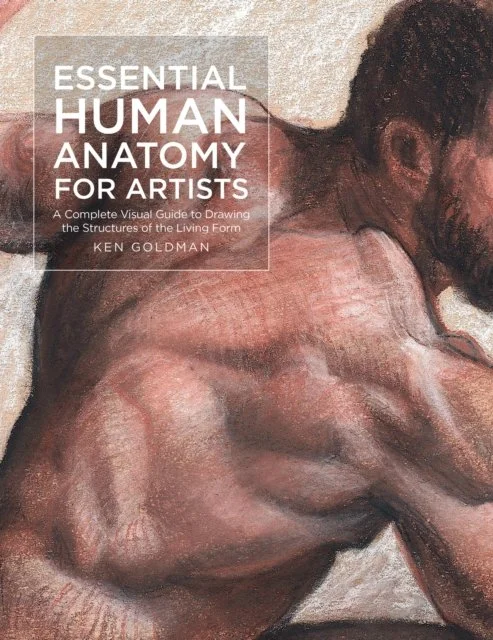 Essential Human Anatomy for Artists by Ken Goldman
