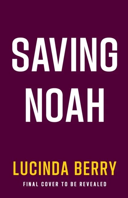 Saving Noah by Lucinda Berry