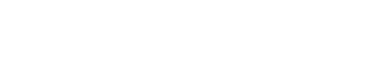 Alpha Omega Consulting Sector