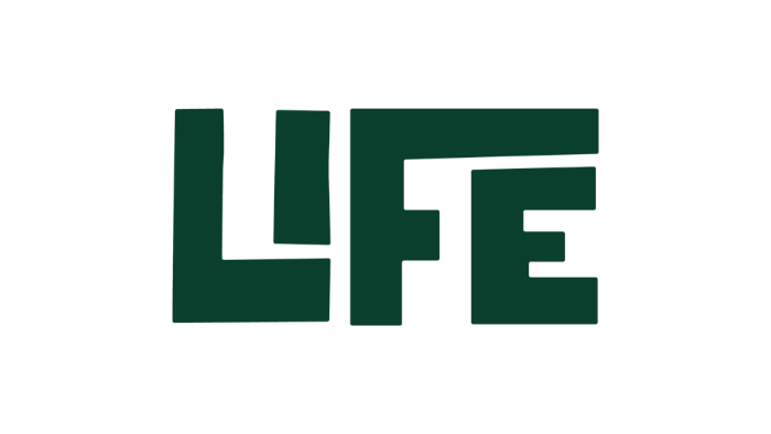 55.png