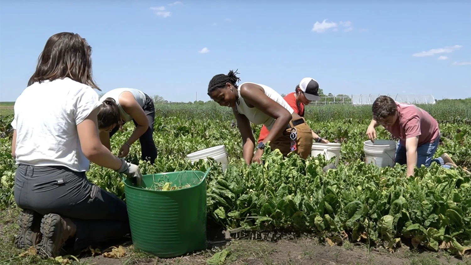 Agroecology-Farm.jpg