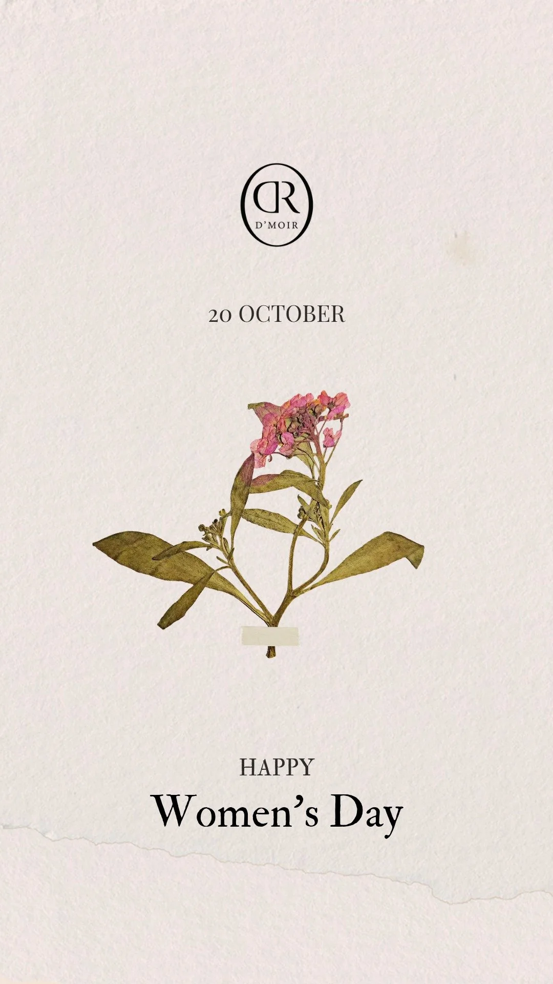 To all the wonderful women,

At D&rsquo;moir, we believe every day can feel like Women&rsquo;s Day &mdash;
a day to pause, to care for yourself, and to celebrate the woman you are.

Let us take care of your hair and scalp,
so you can feel refreshed, 