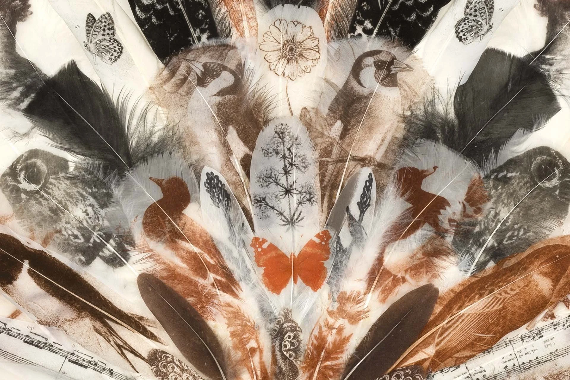 Multicolored collage of feathers, butterflies, birds, and floral illustrations arranged symmetrically.