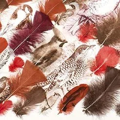 Arrangement of feathers and pictures of wild animals like a squirrel and a leopard in a creative collage.