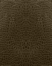 Close-up of textured brown leather surface with a reptile skin pattern.