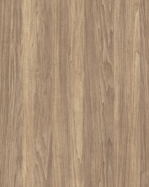 Close-up of a wooden surface with natural grain and texture.