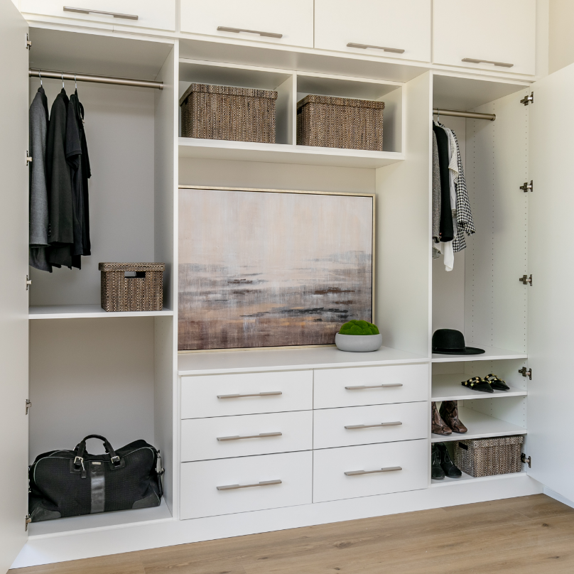 Open white closet with clothes, storage boxes, and decorative items, including a large abstract painting and a green moss plant in a white bowl.
