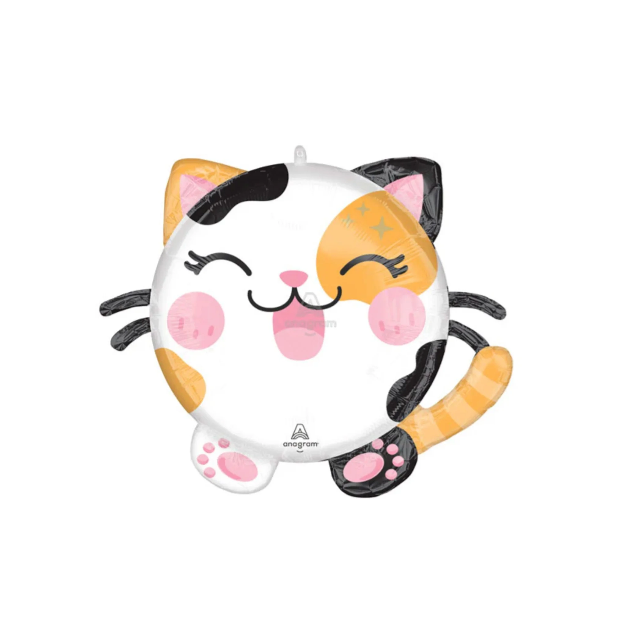 calico cat