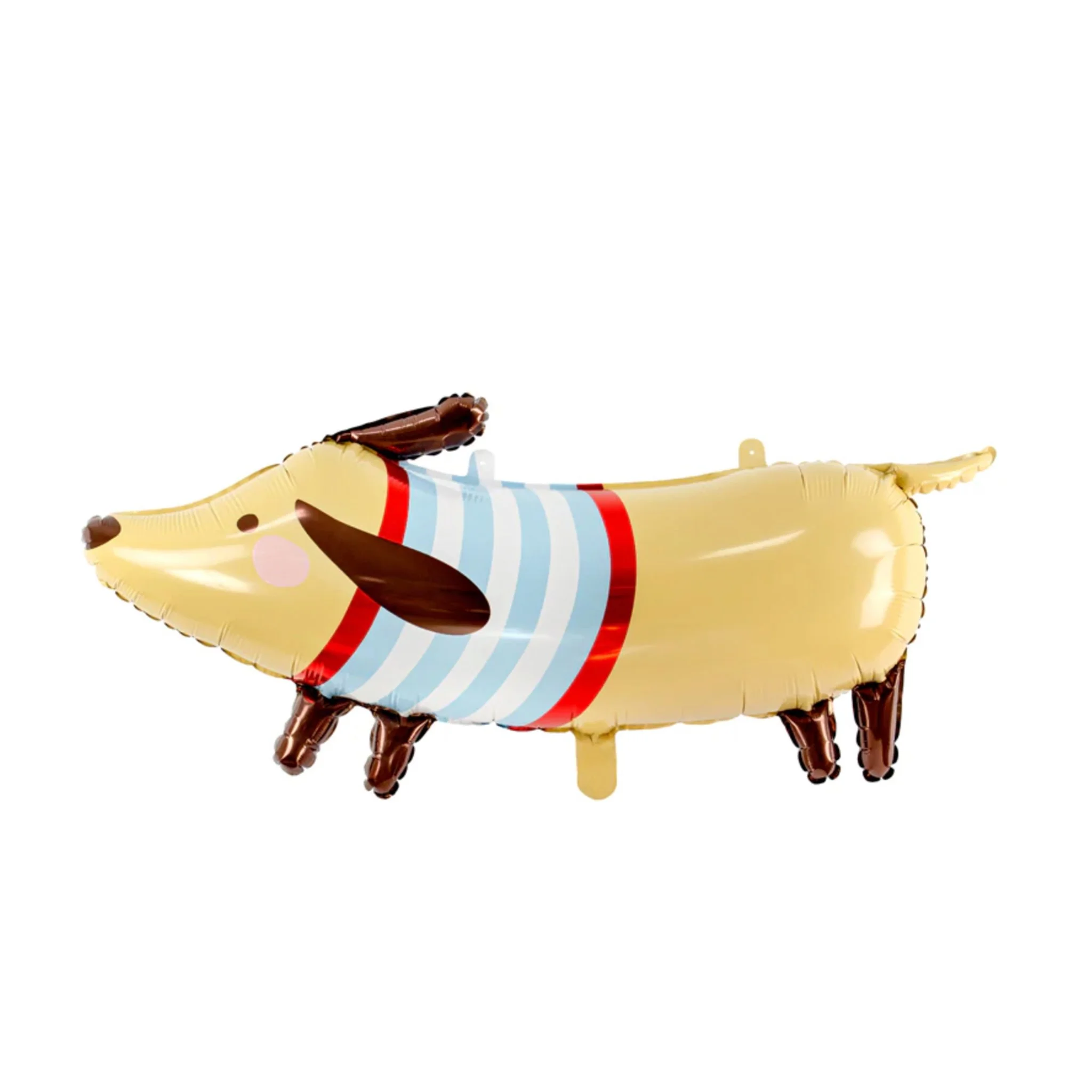dachshund