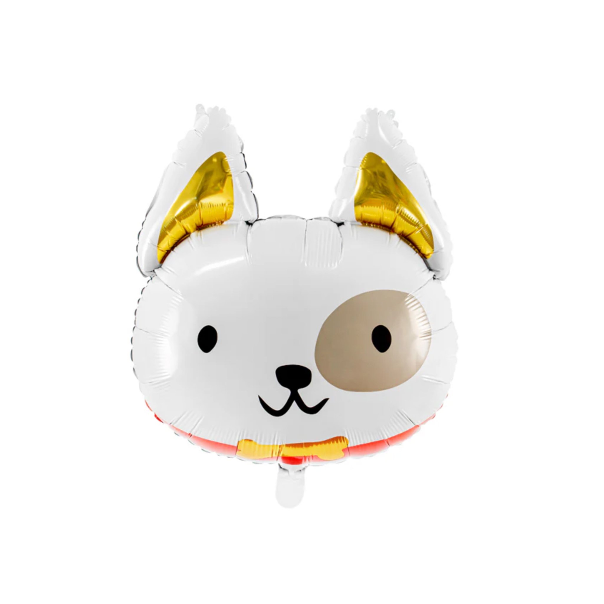 spotted puppy