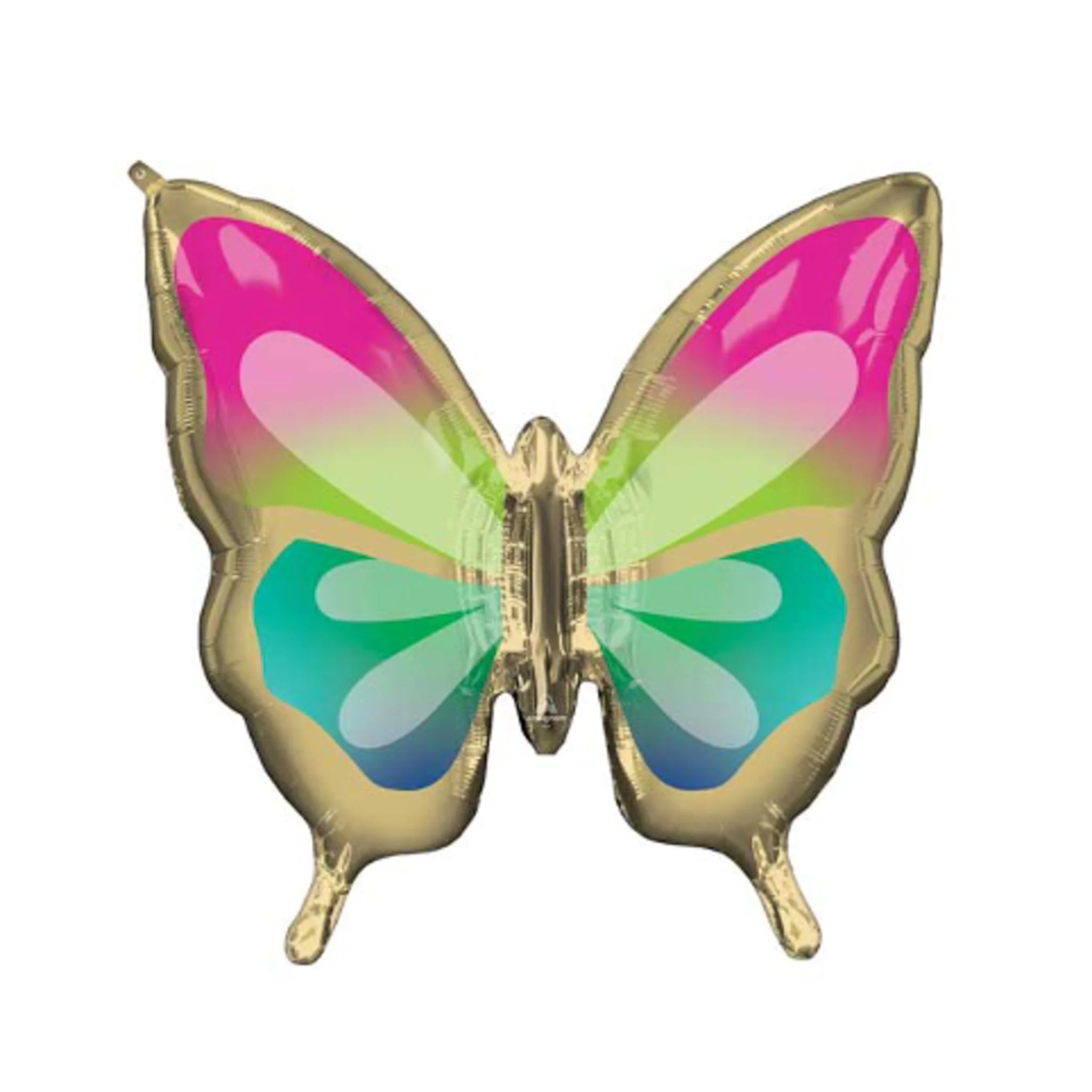 rainbow butterfly