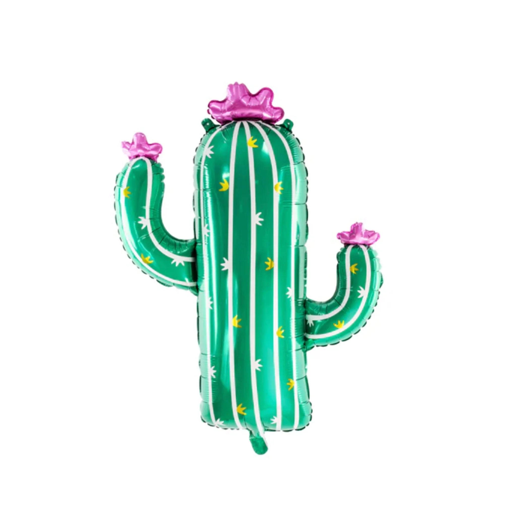 blooming cactus
