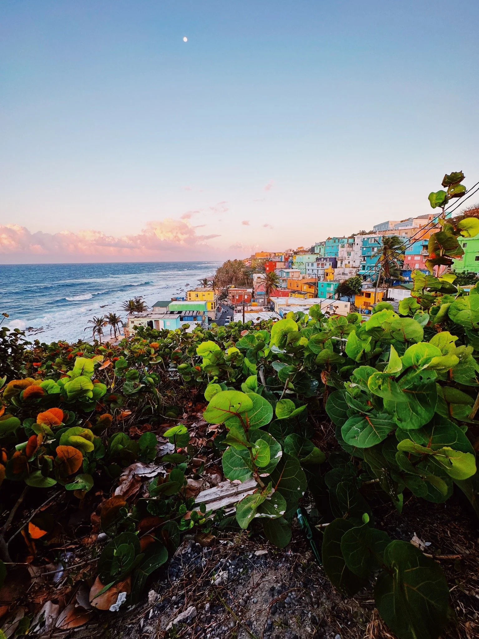 Where the Colors Meet the Sea