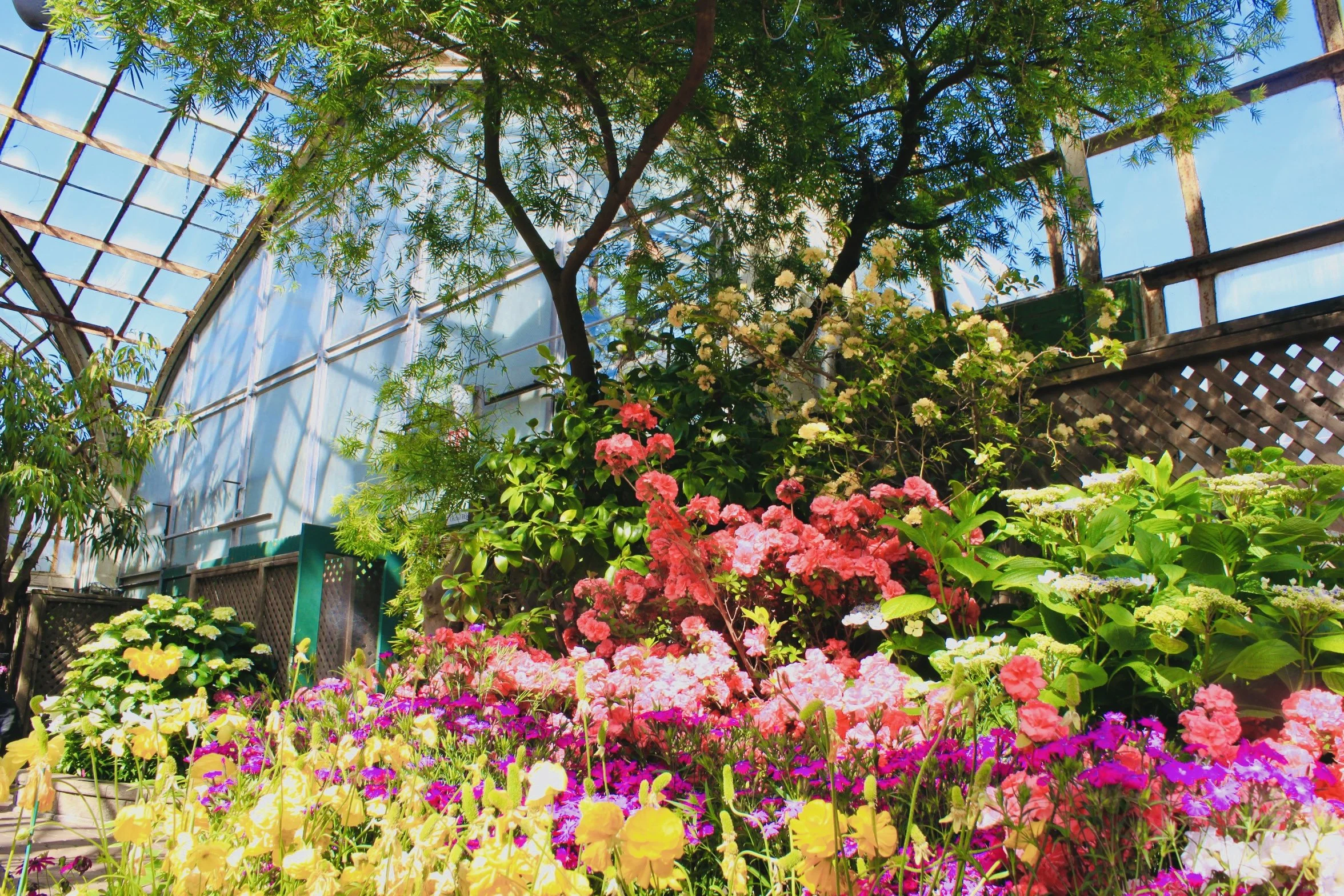 Find Me In the Garden