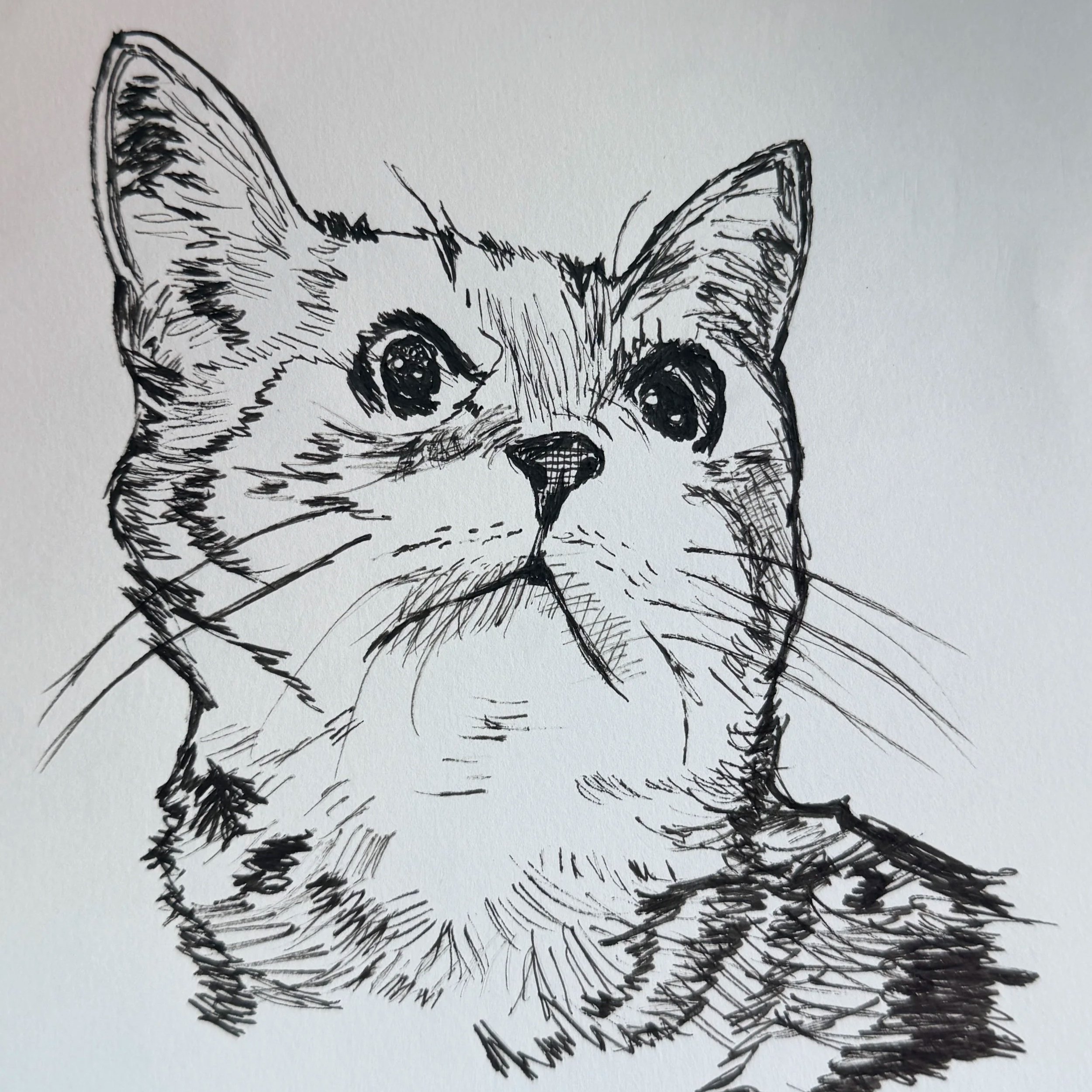 Missy