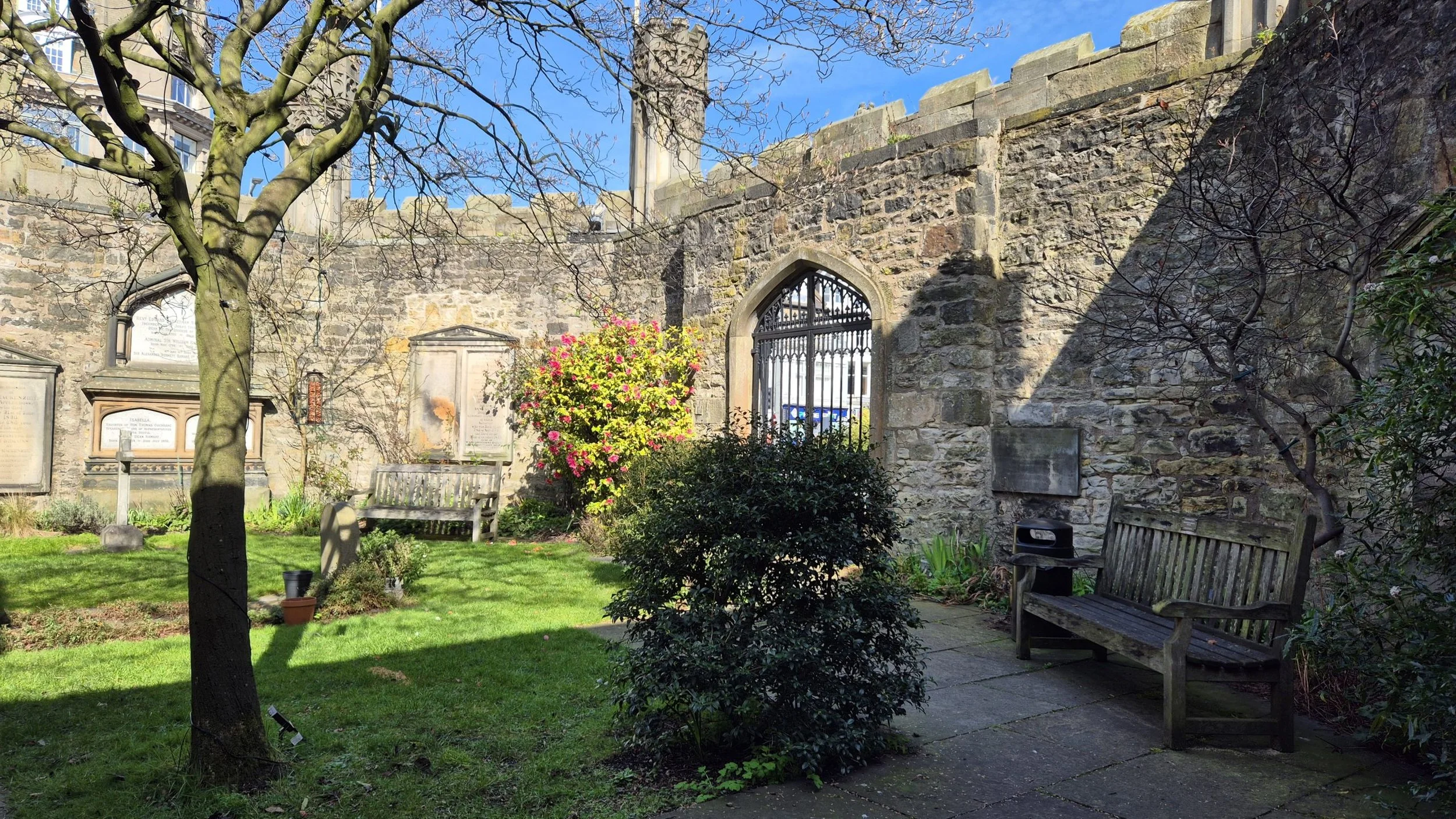 The Grounds