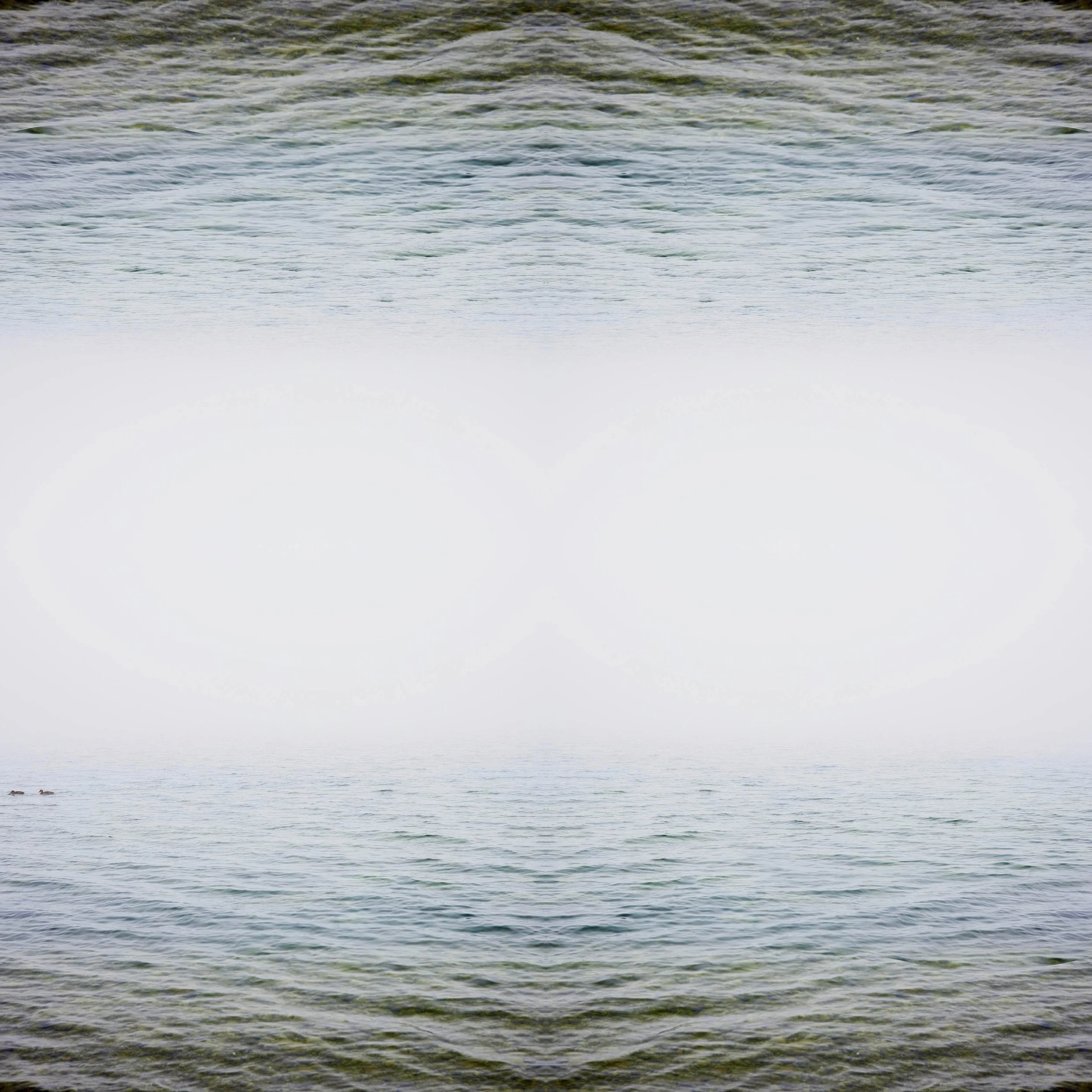 nebel_rz_3_89x89.jpg