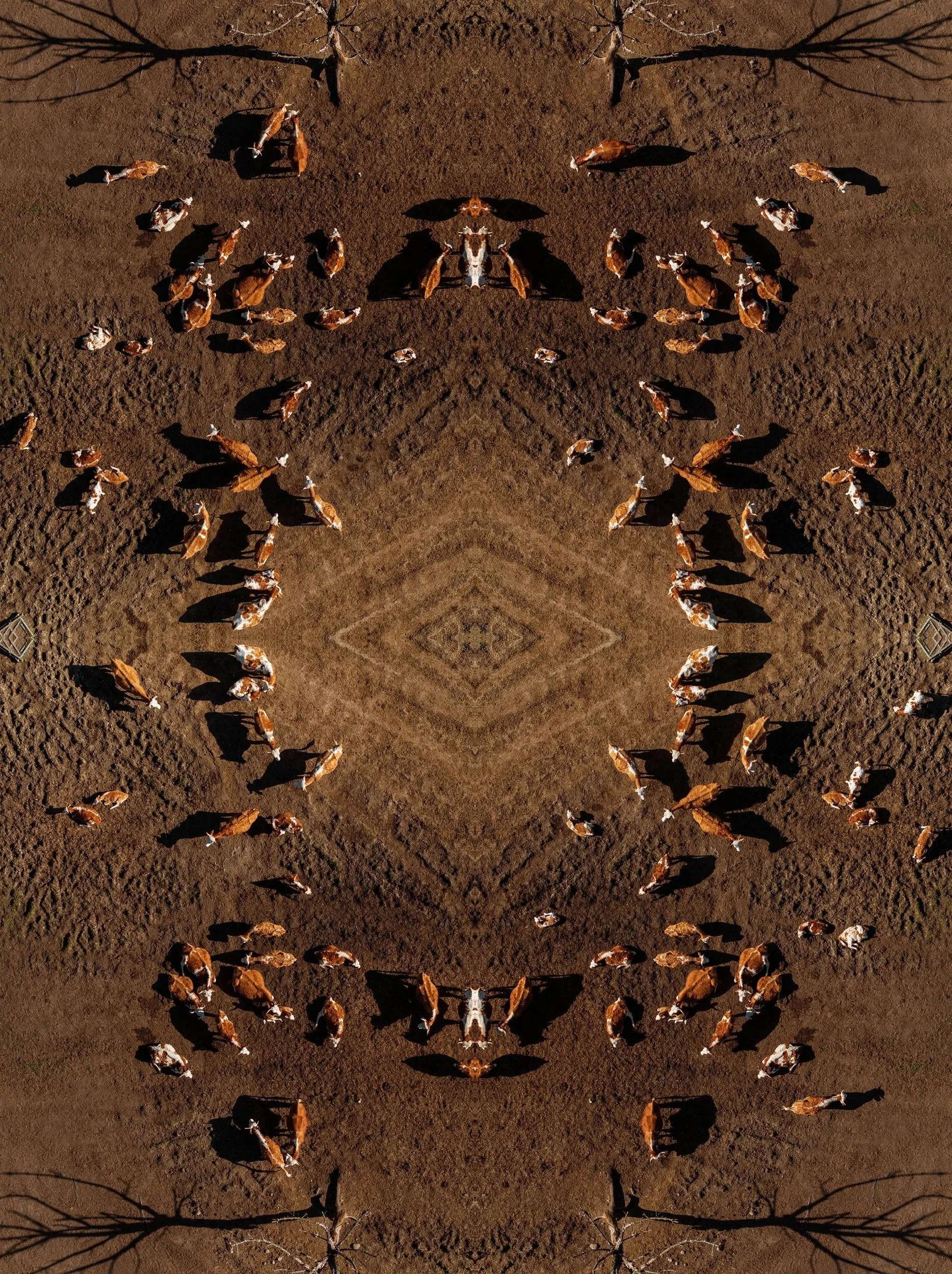 kaleidoscopes XXXV, 47°42'25.4"N 8°57'35.0"E, 2025