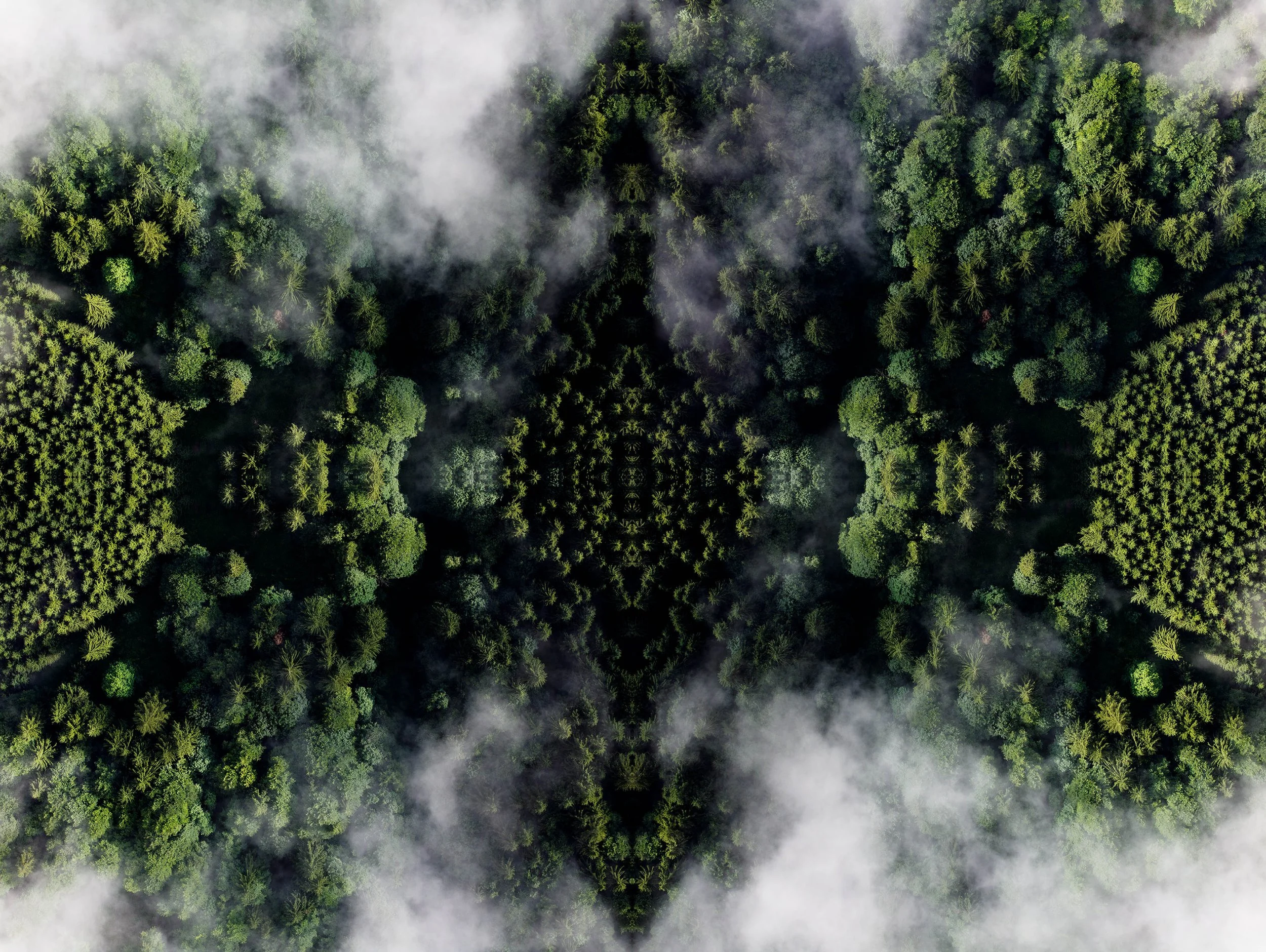 au_nebel_1_101x135.jpg