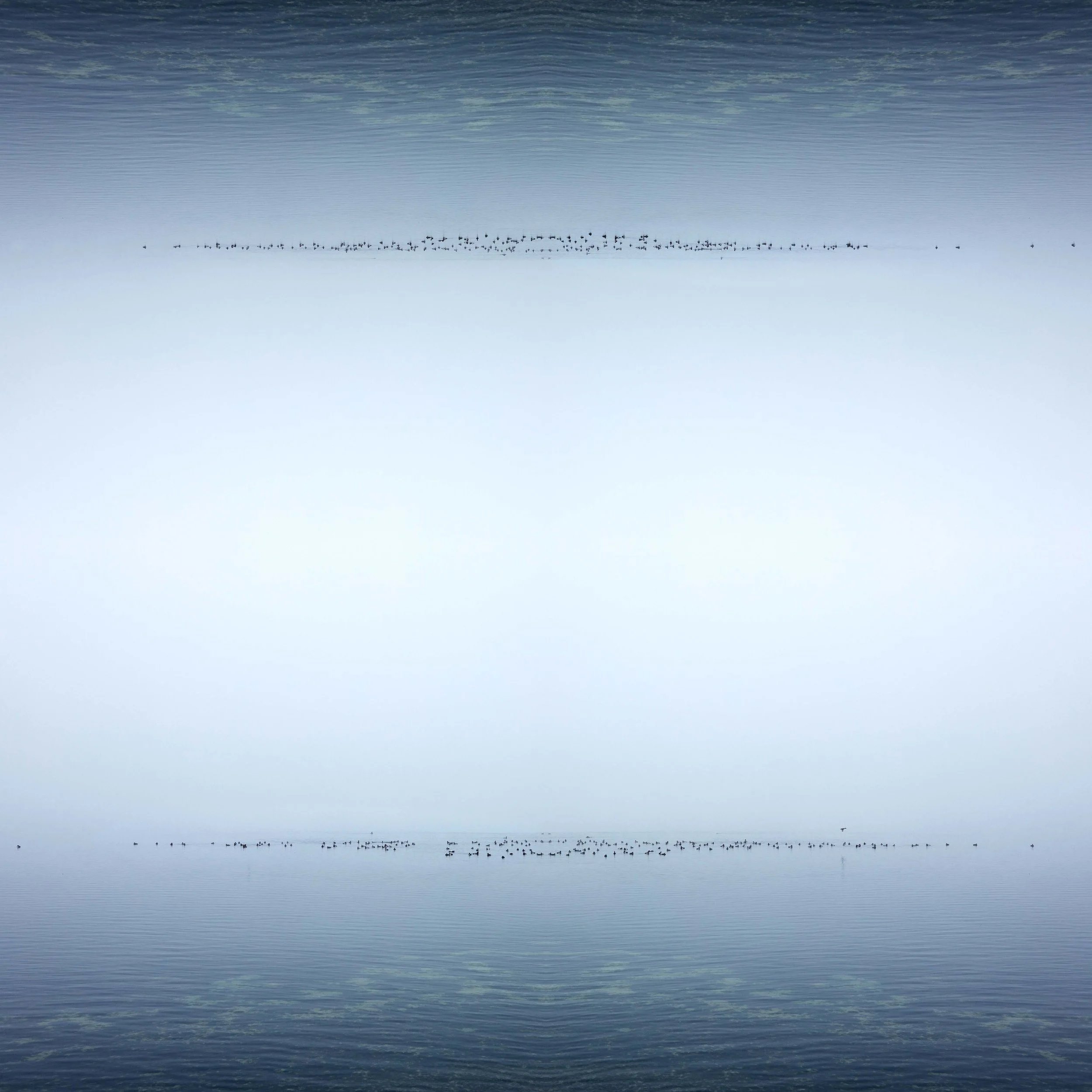 nebel_rz_9_92x92.jpg