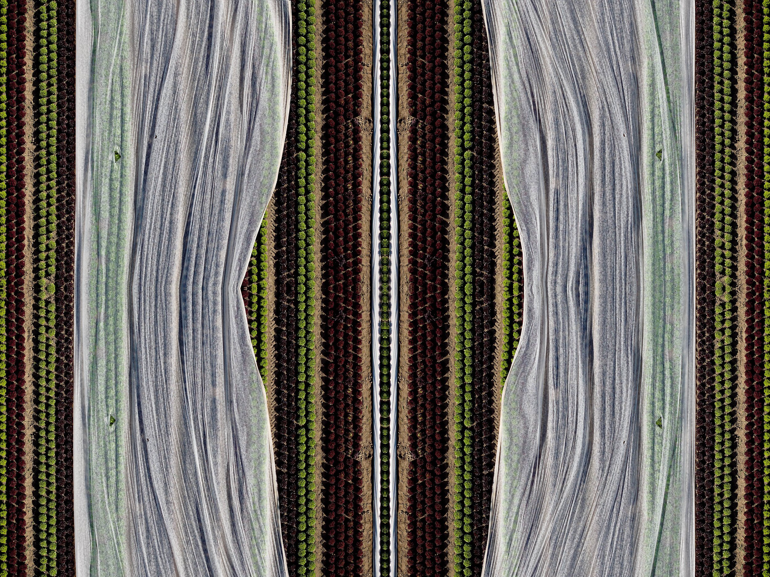 foliensalat_6_101x135.jpg