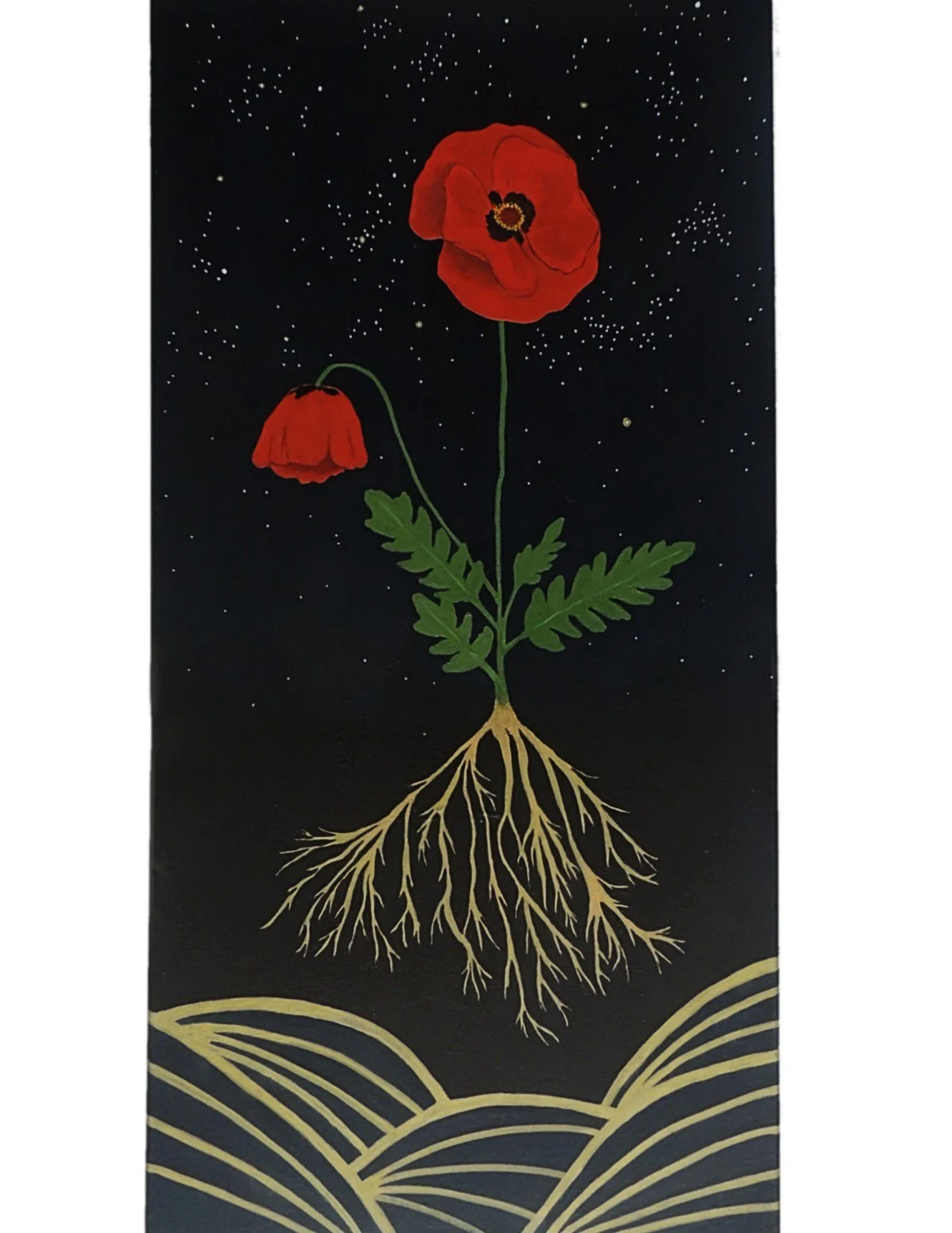 roots02.jpg